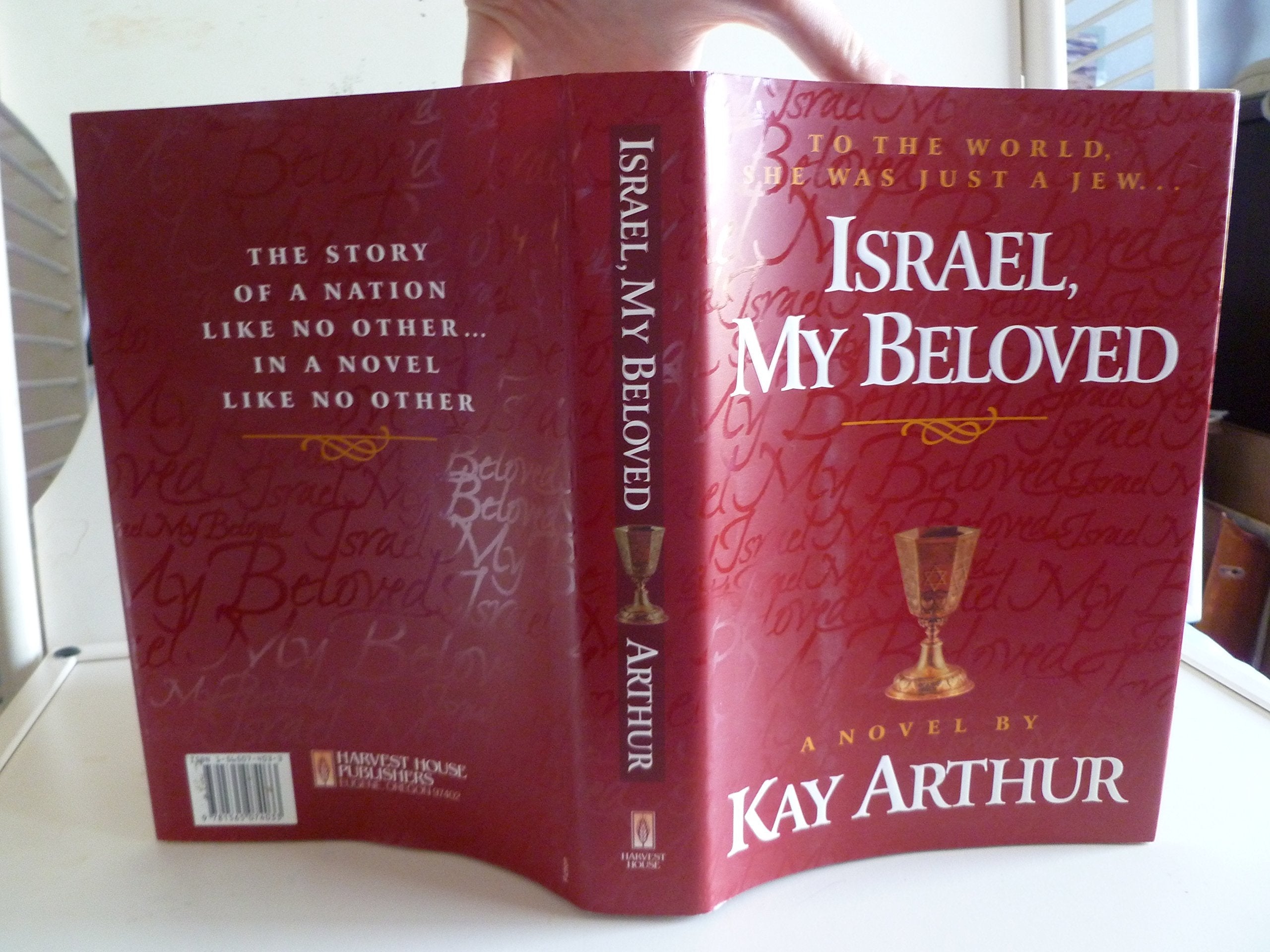 Israel, My Beloved: A Novel used book depot