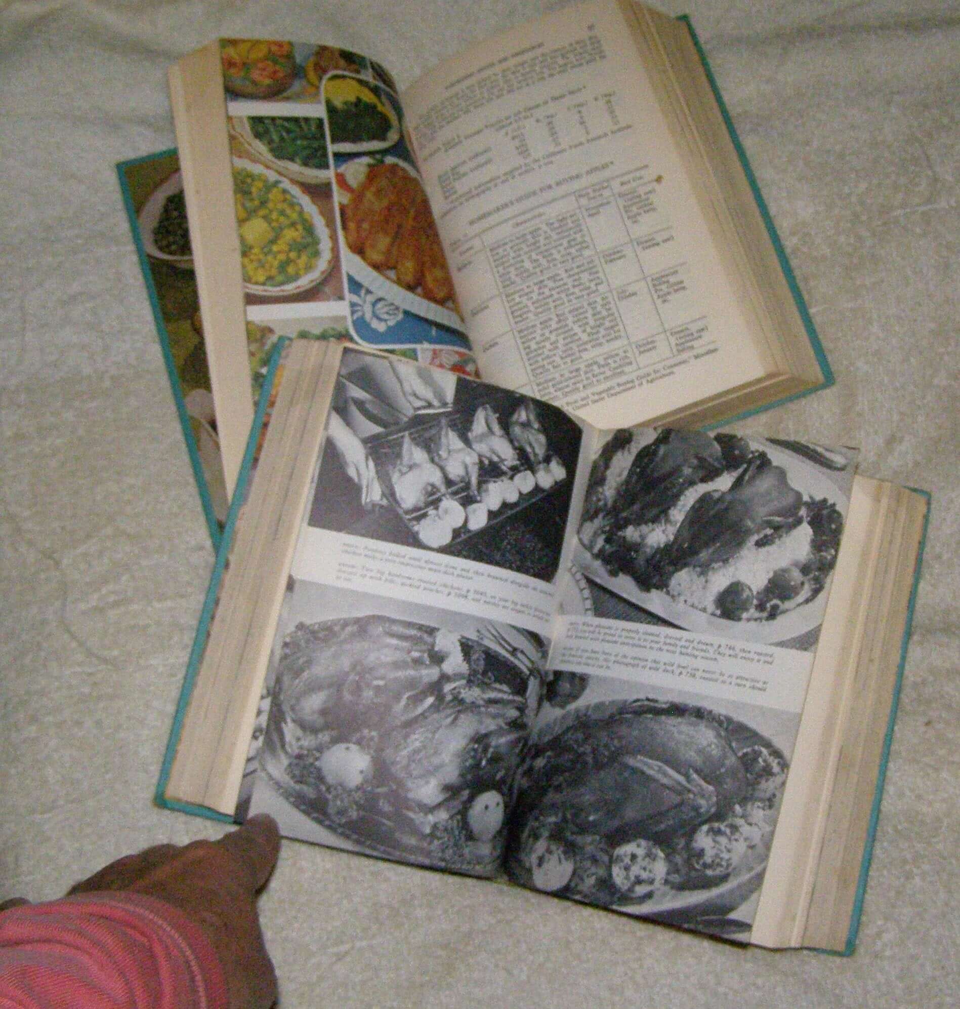 Meta Given's Modern Encyclopedia of Cooking (2 Volume Set) used book depot