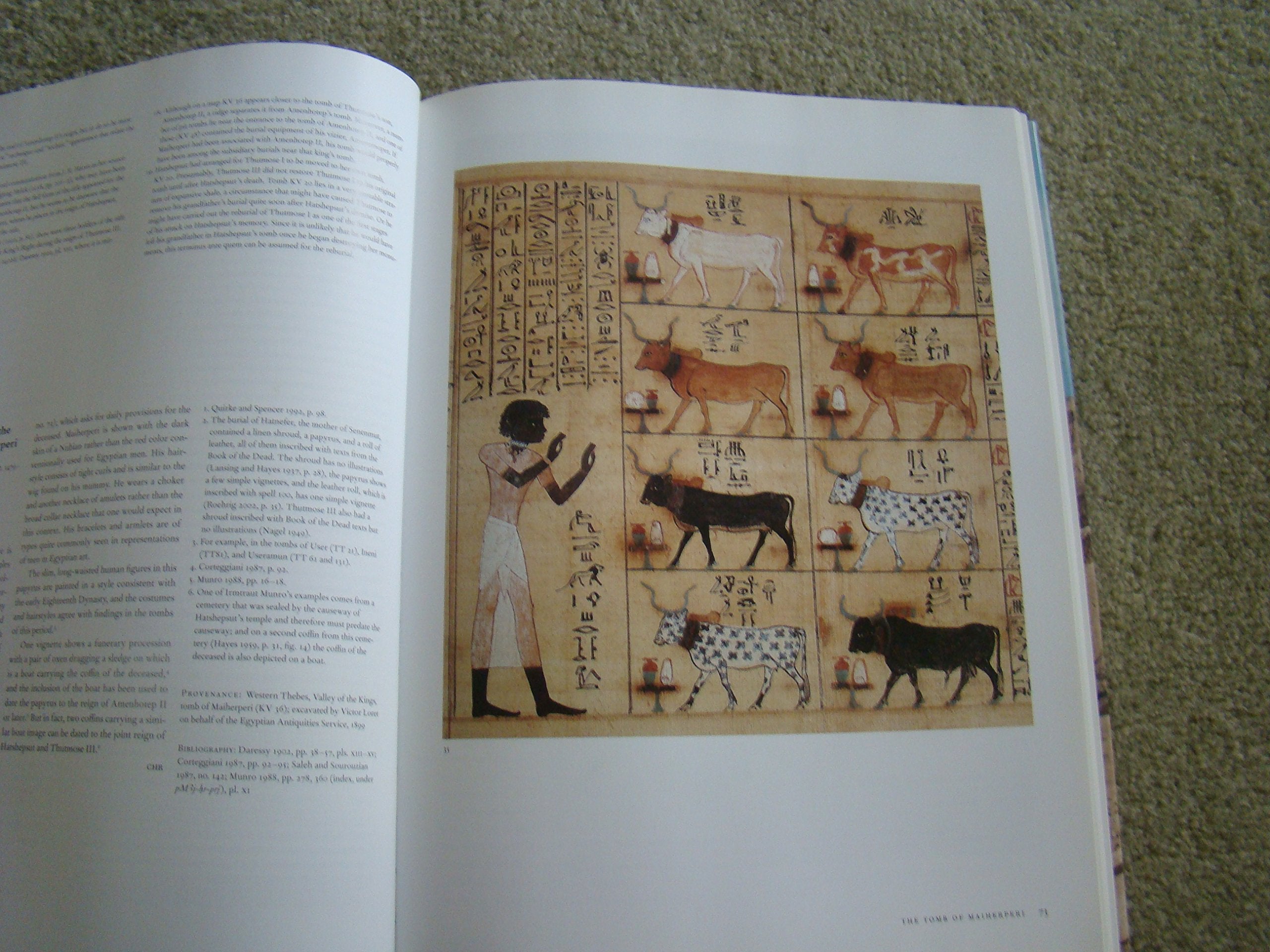 Hatshepsut: From Queen to Pharaoh (Metropolitan Museum of Art Series) used book depot