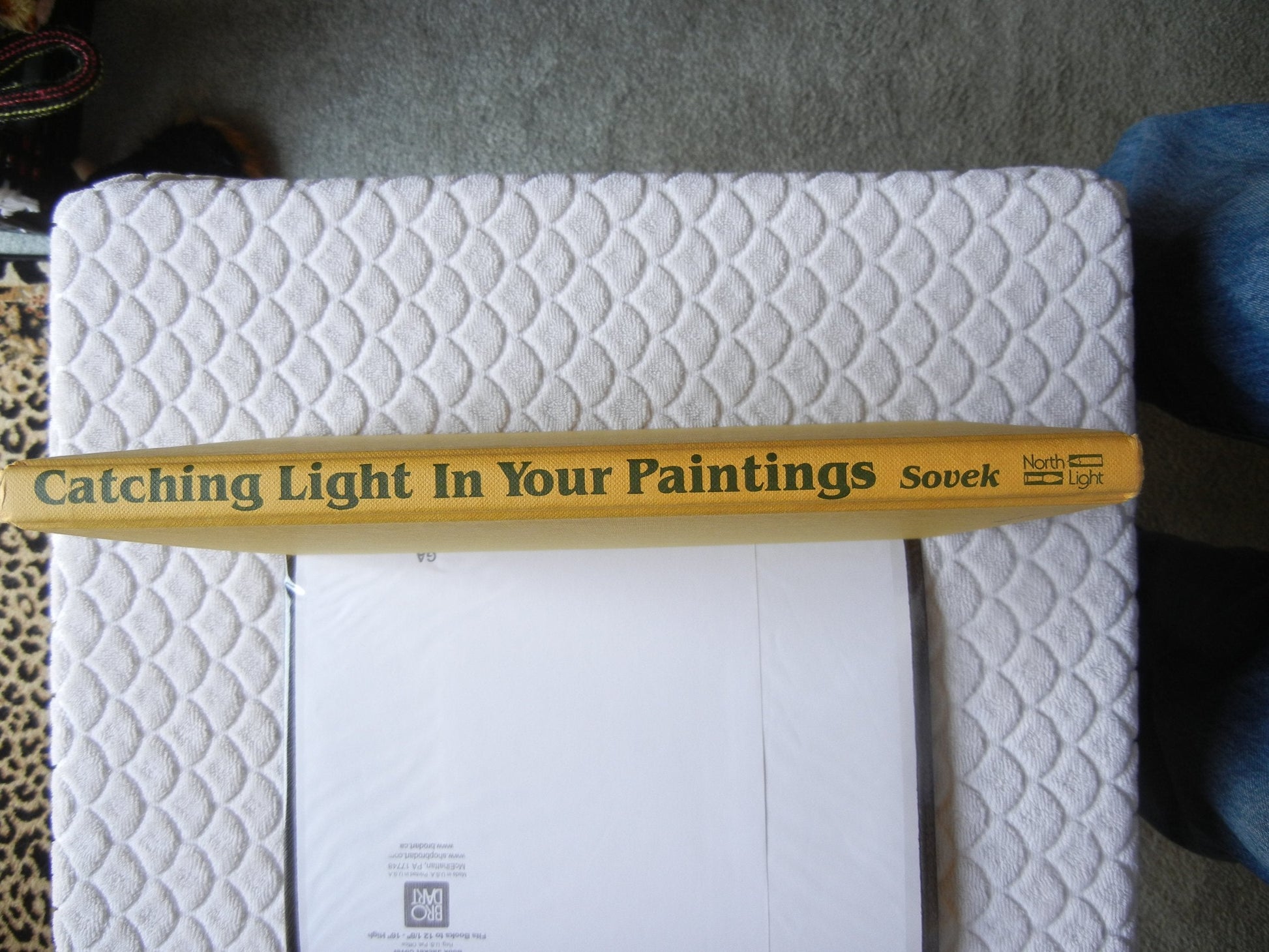 Catching Light in Your Paintings used book depot