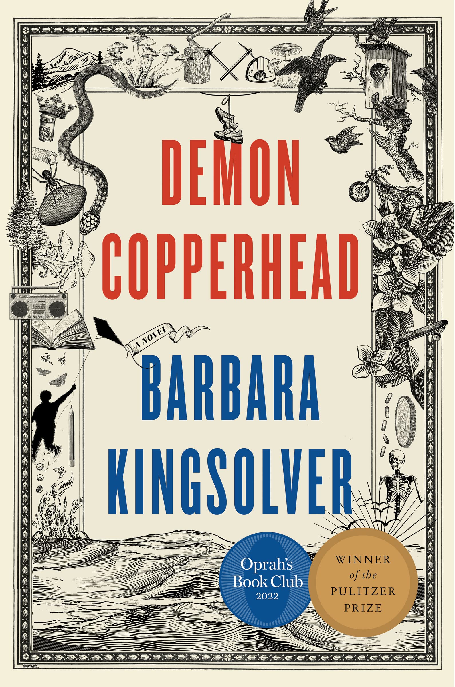 Demon Copperhead: A Pulitzer Prize Winner used book depot