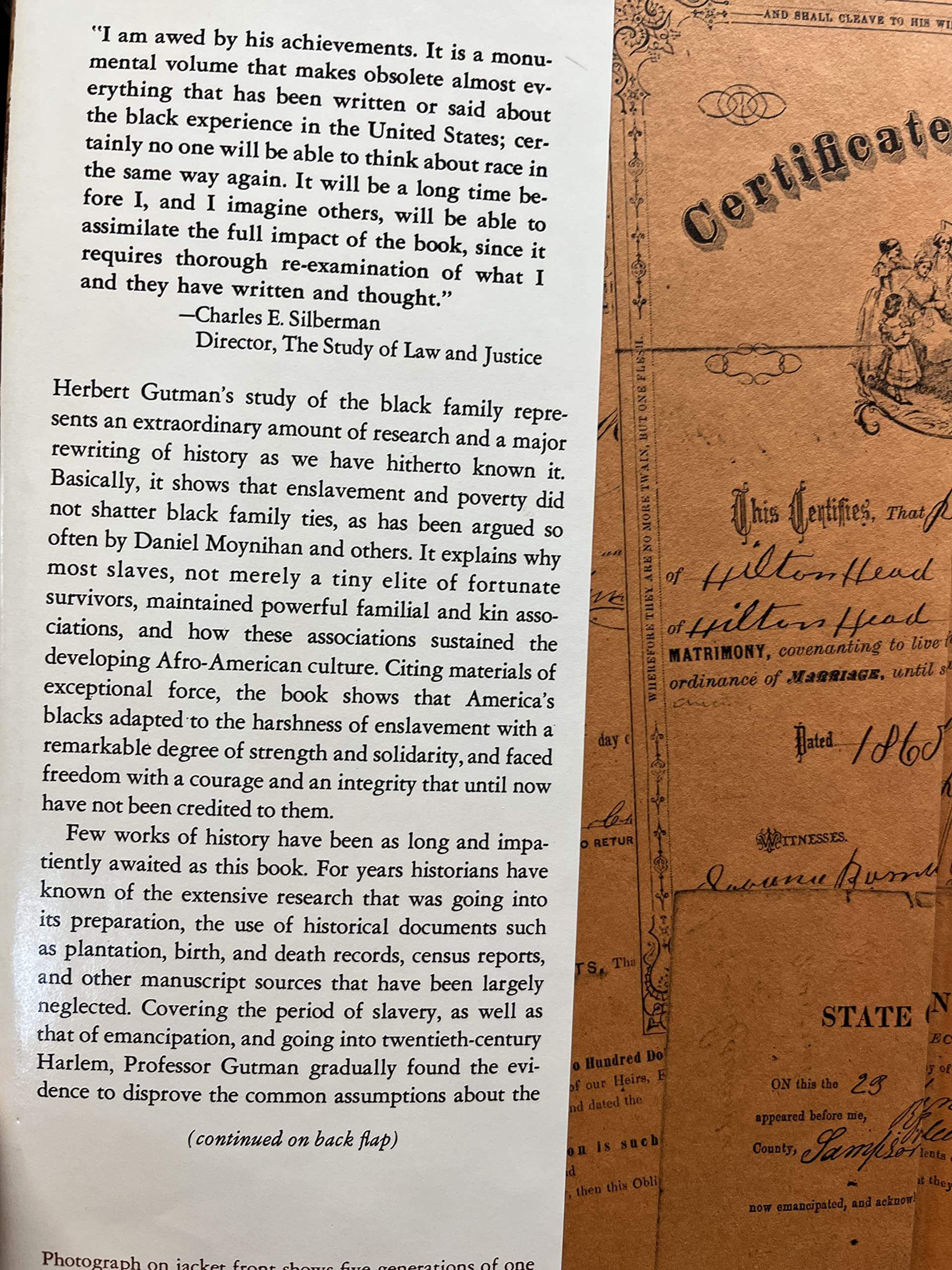 The Black Family in Slavery and Freedom, 1750-1925 used book depot