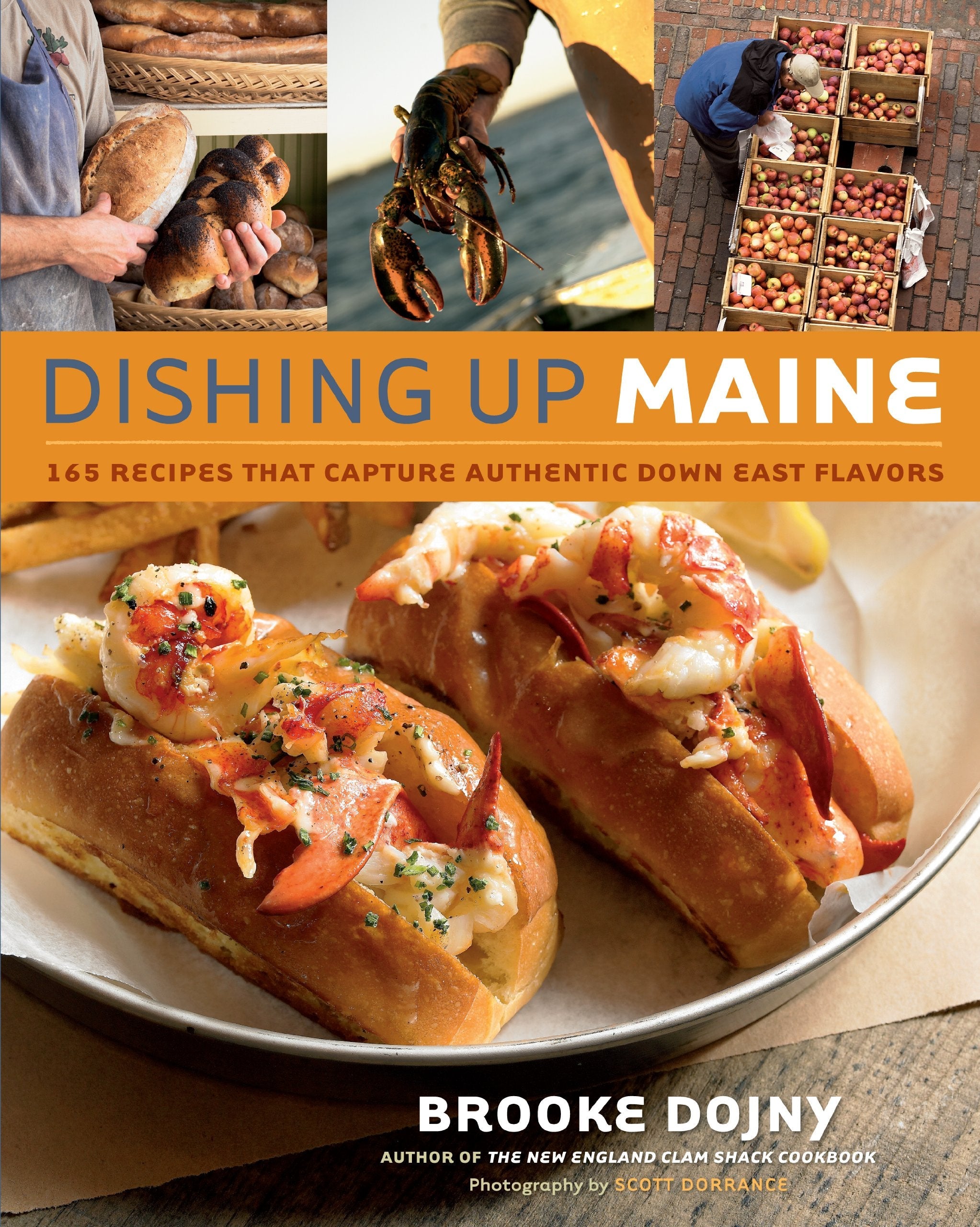Dishing Up Maine: 165 Recipes That Capture Authentic Down East Flavors used book depot