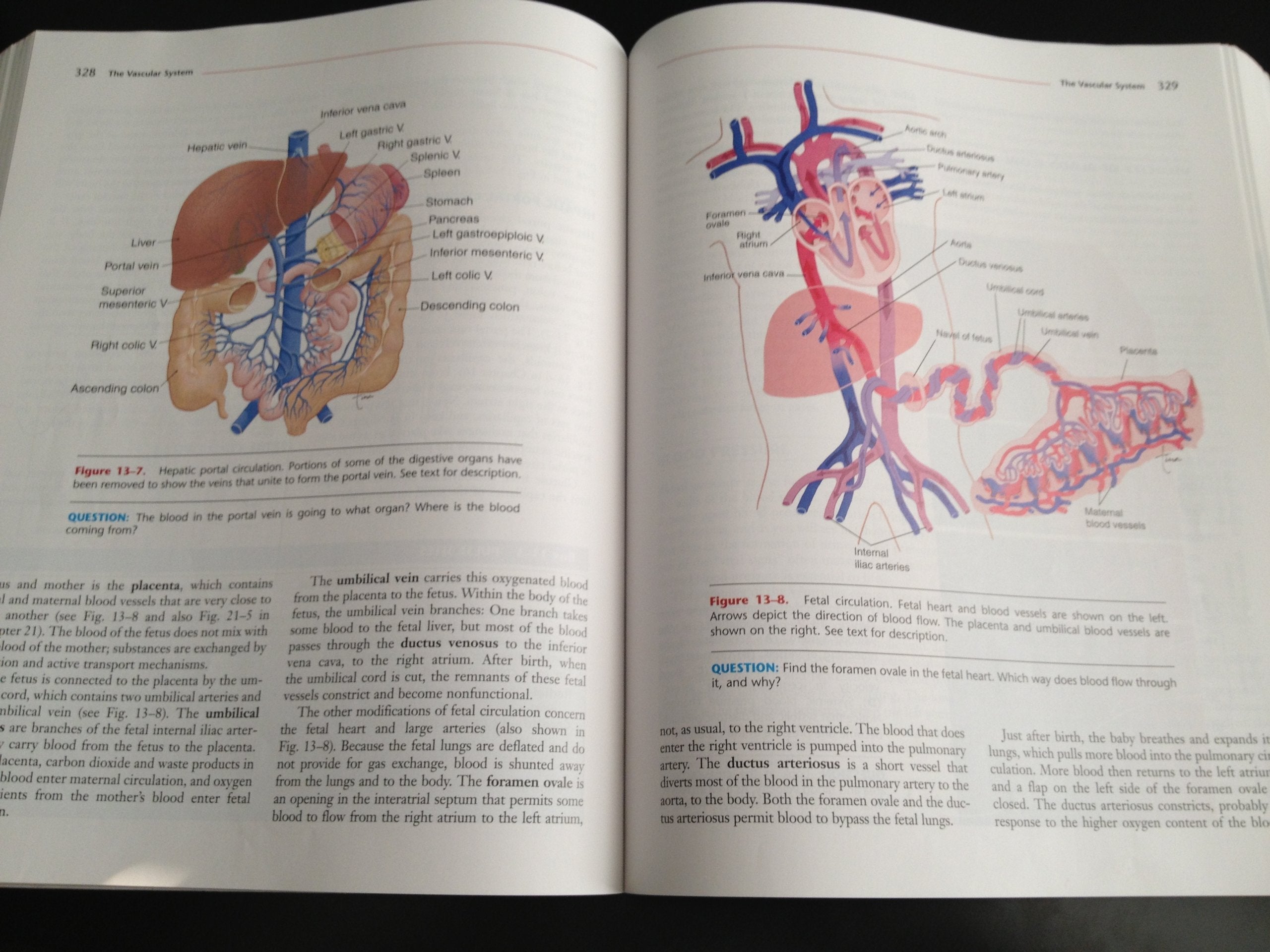 Essentials of Anatomy and Physiology used book depot