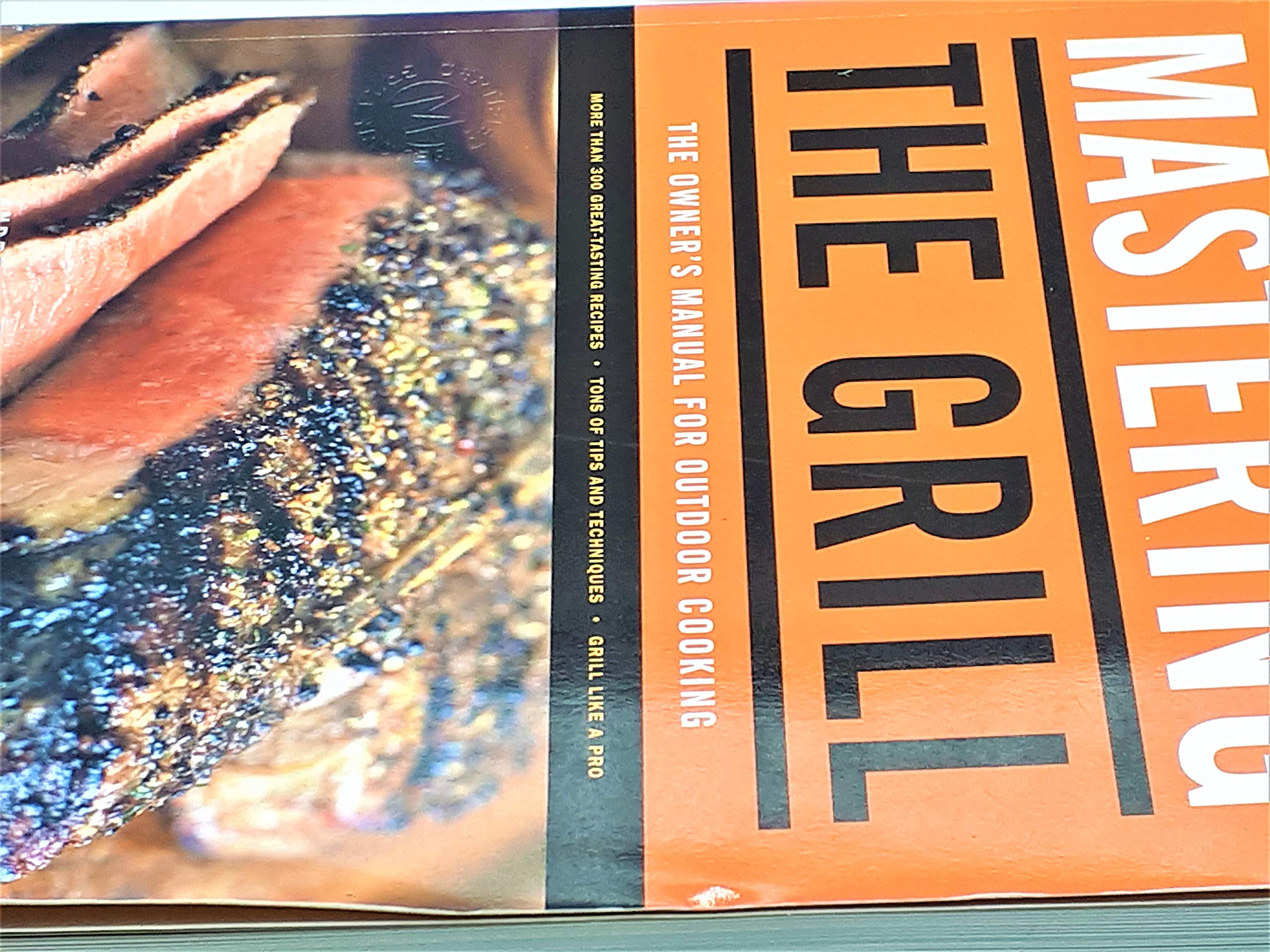 Mastering the Grill: The Owner's Manual for Outdoor Cooking used book depot
