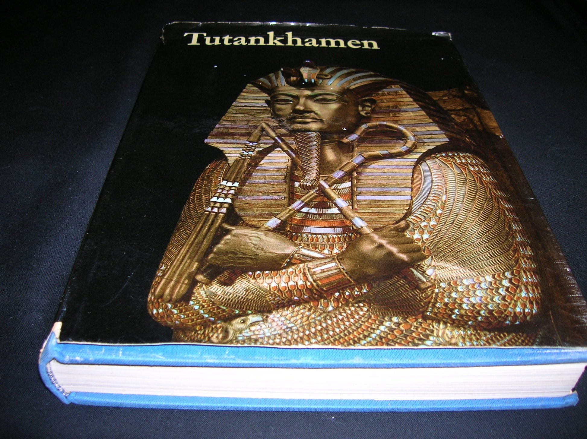 Tutankhamen: Life and Death of a Pharaoh used book depot