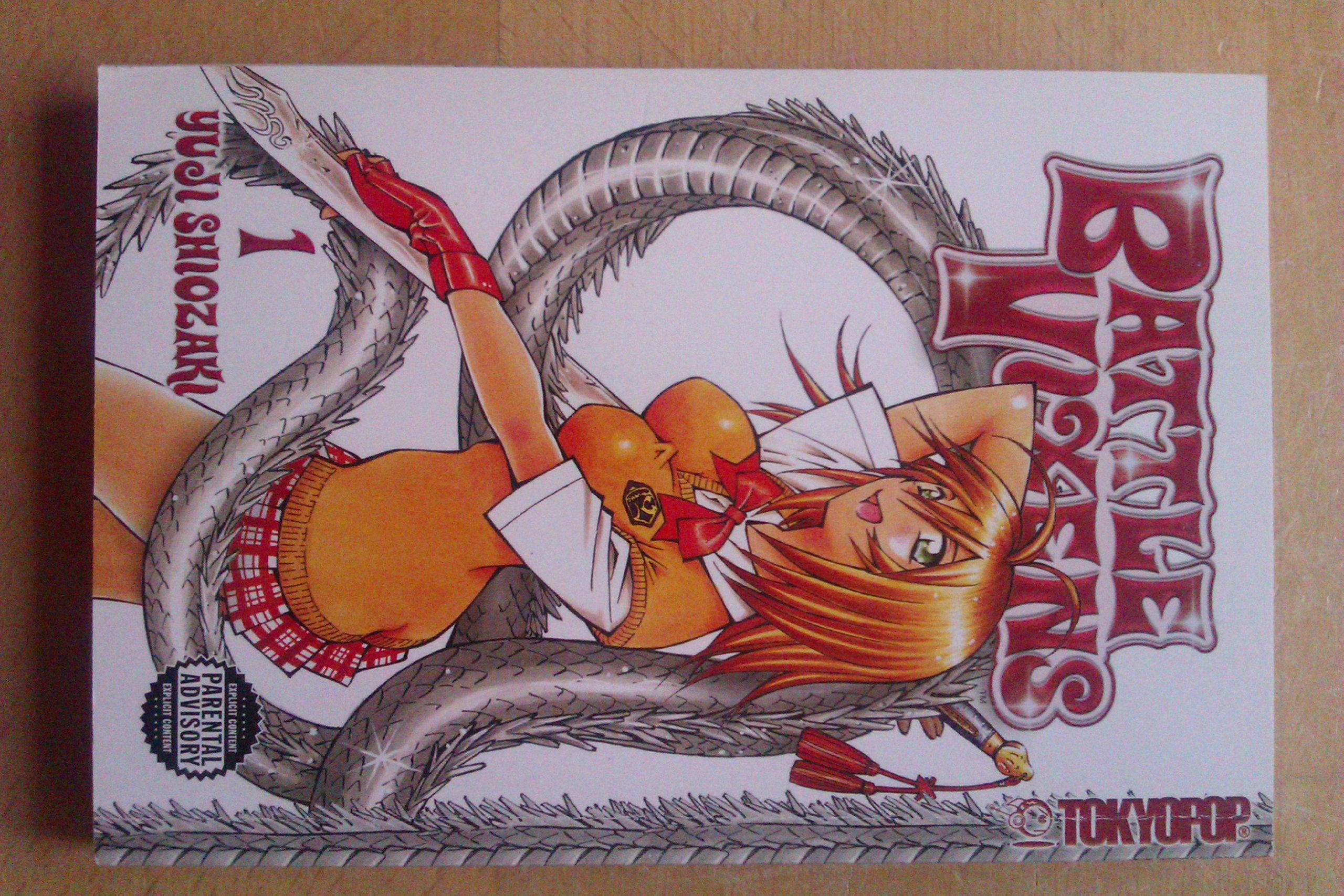 Battle Vixens, Vol. 1 used book depot
