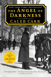The Angel of Darkness used book depot