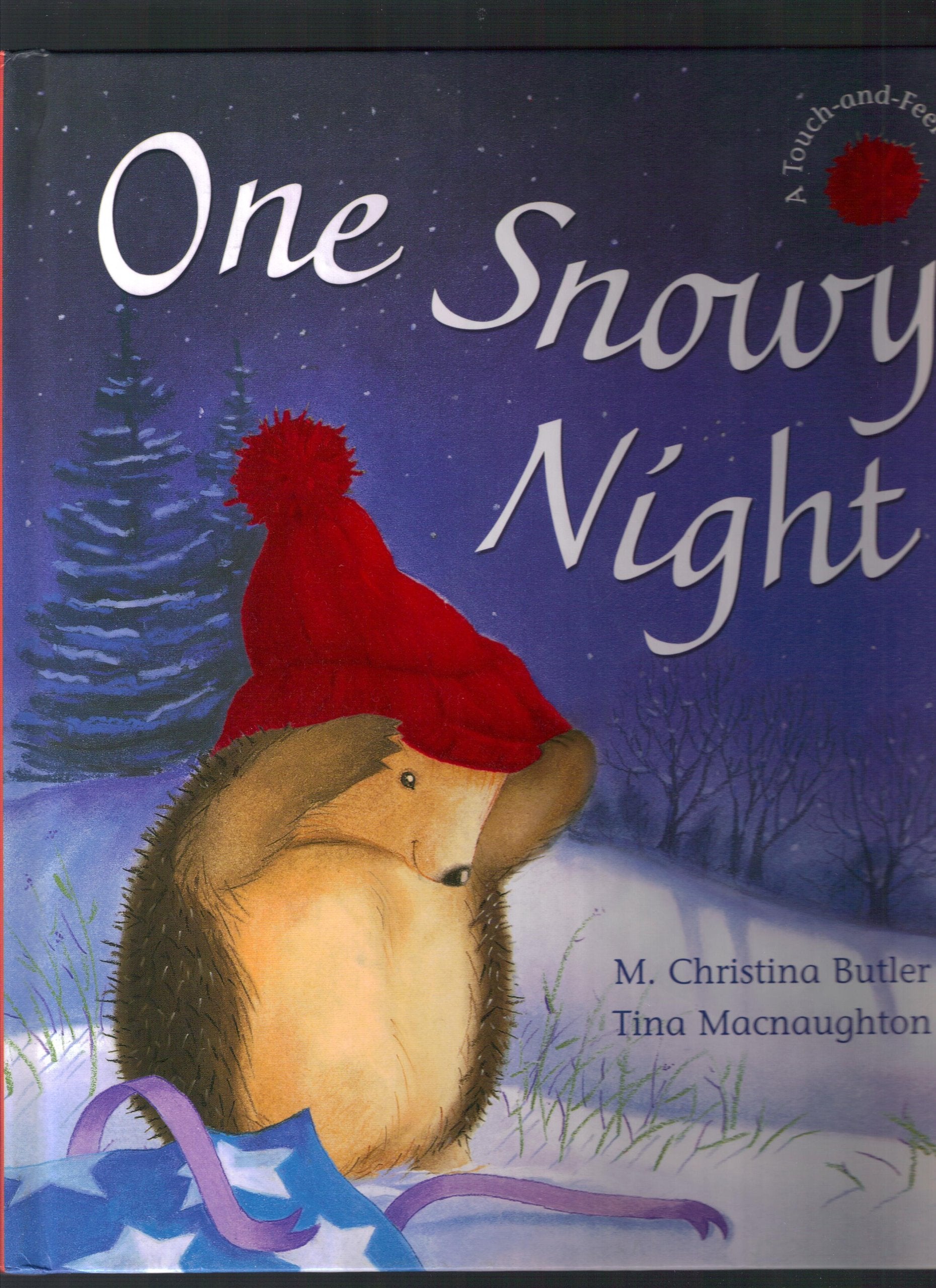 One Snowy Night used book depot