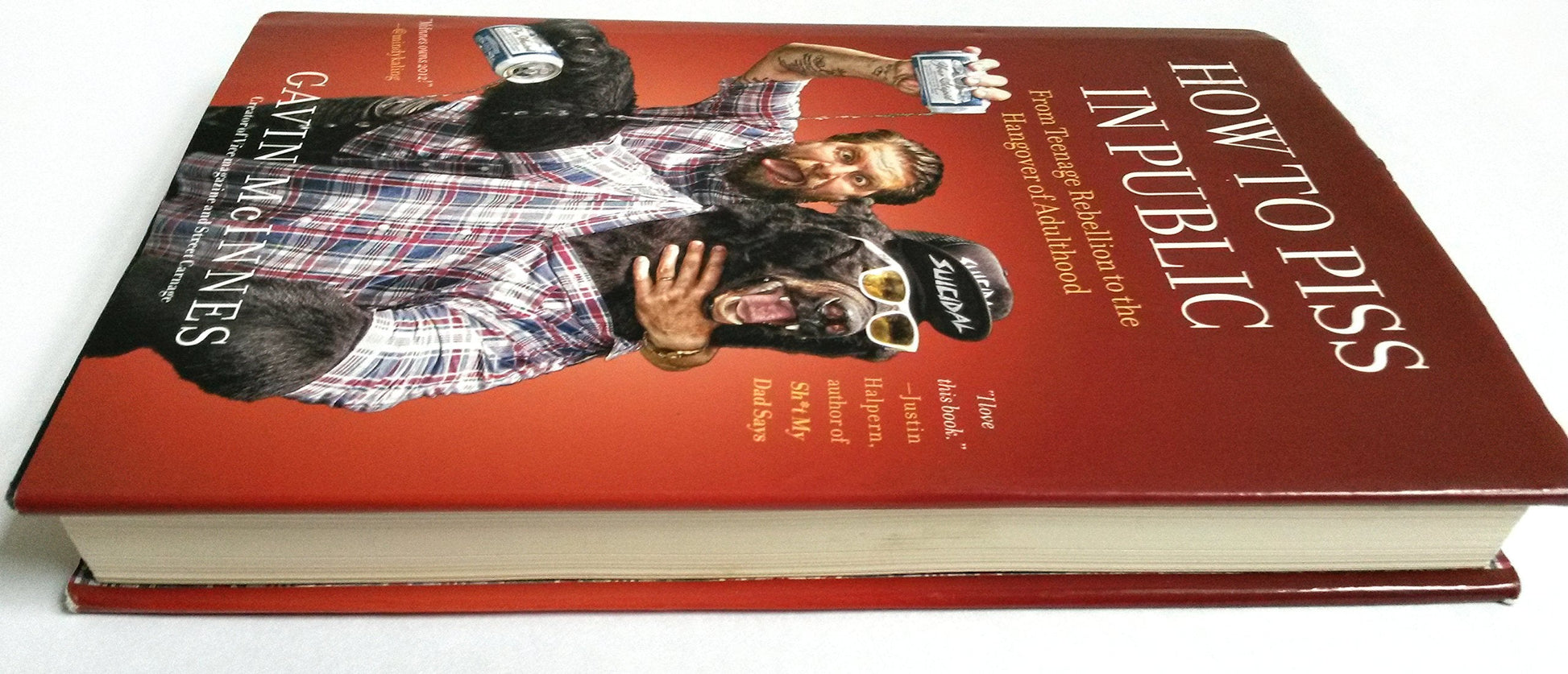 How to Piss in Public: From Teenage Rebellion to the Hangover of Adulthood used book depot