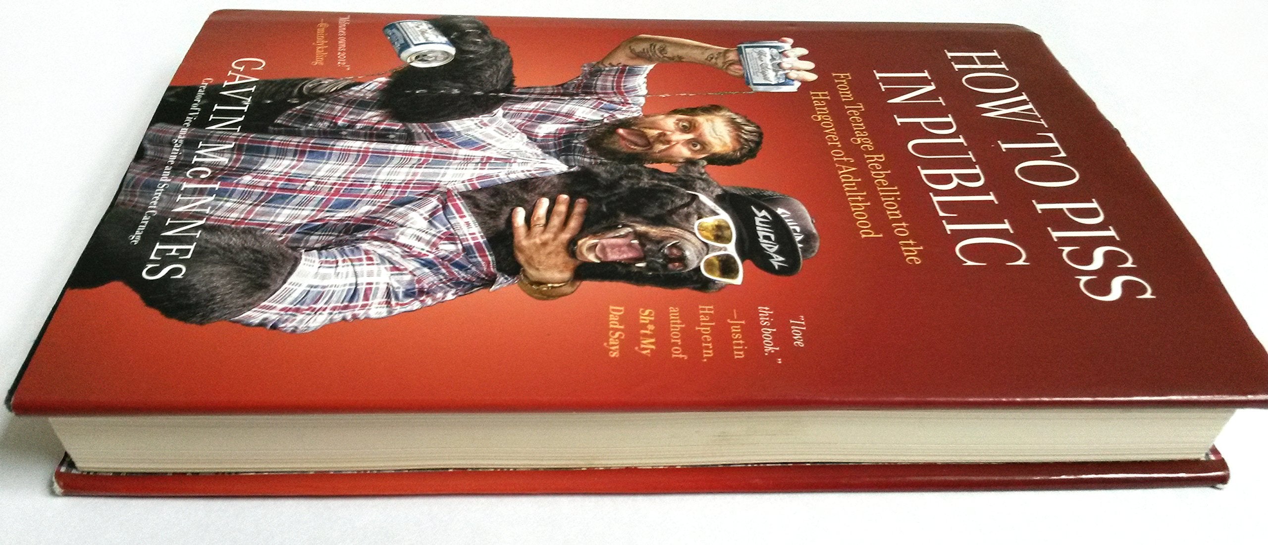 How to Piss in Public: From Teenage Rebellion to the Hangover of Adulthood used book depot