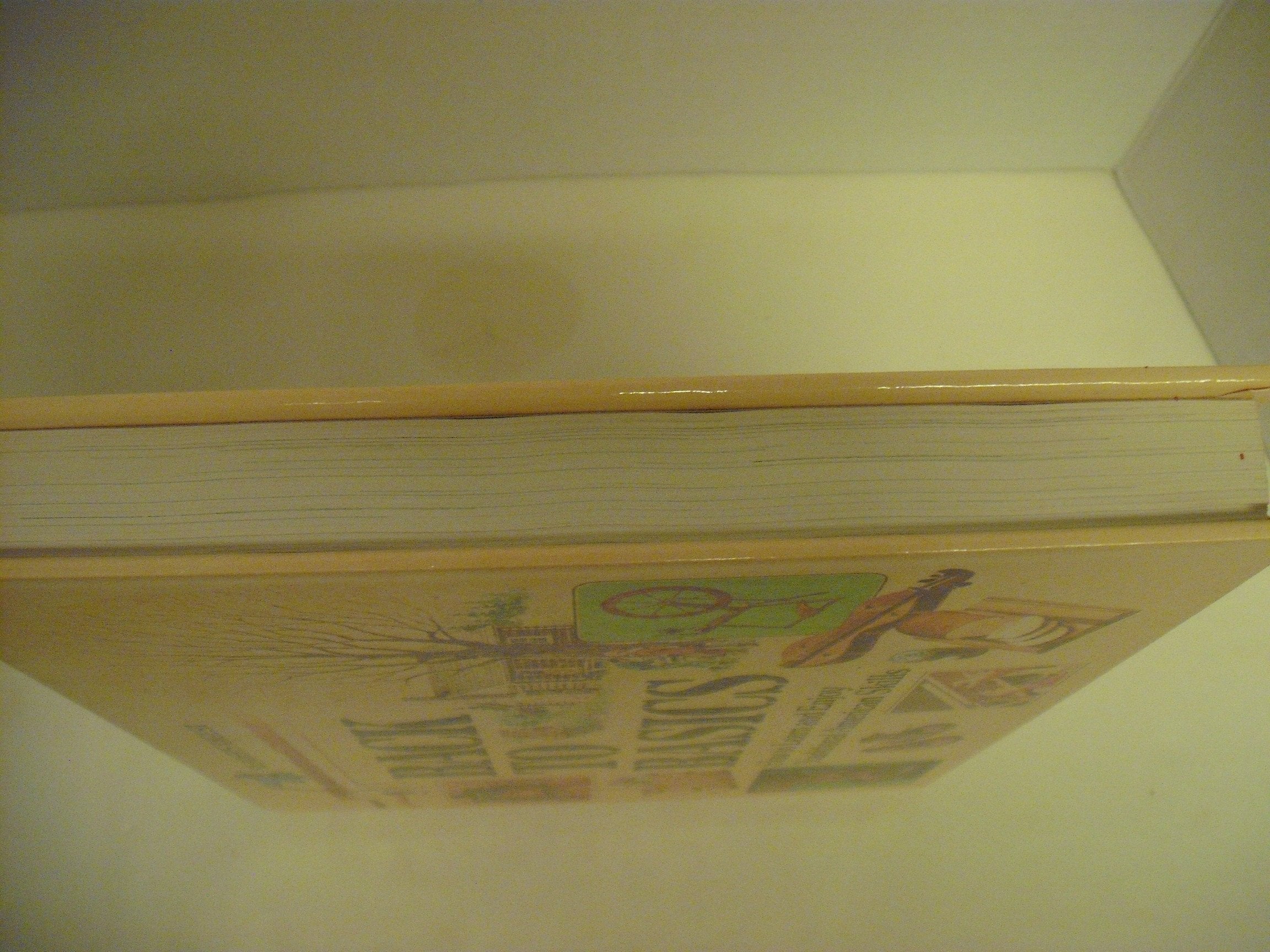 Back to Basics: How to Learn and Enjoy Traditional American Skills used book depot