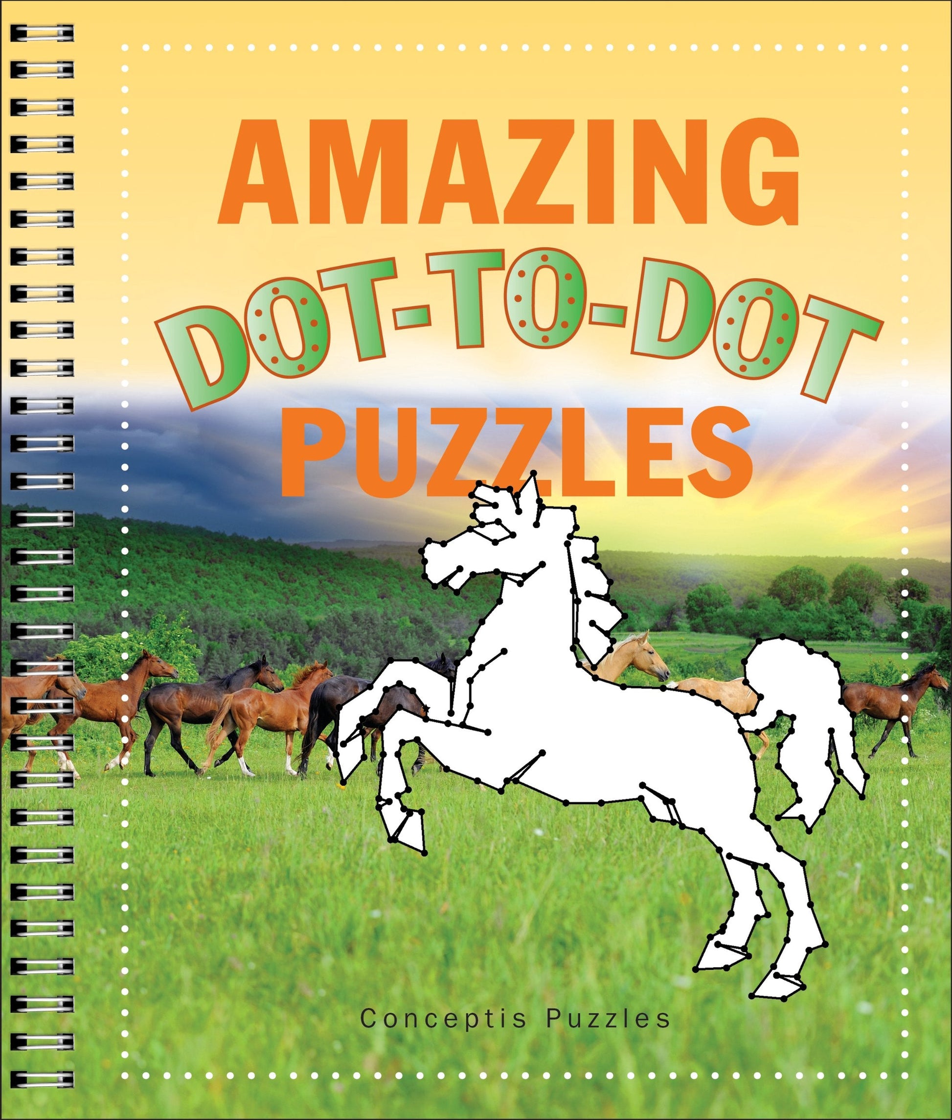 Amazing Dot-to-Dot Puzzles (Connectivity) used book depot