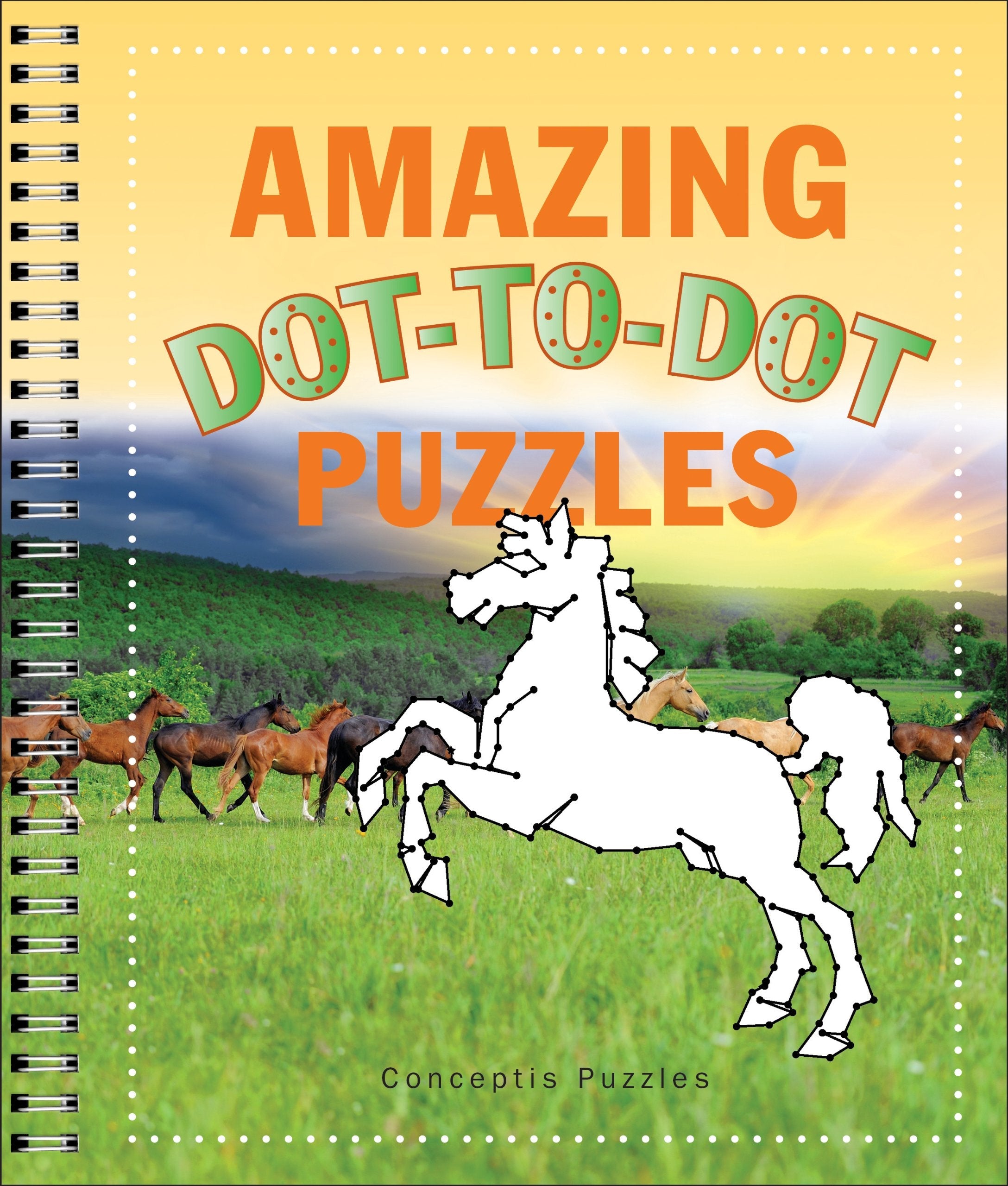 Amazing Dot-to-Dot Puzzles (Connectivity) used book depot