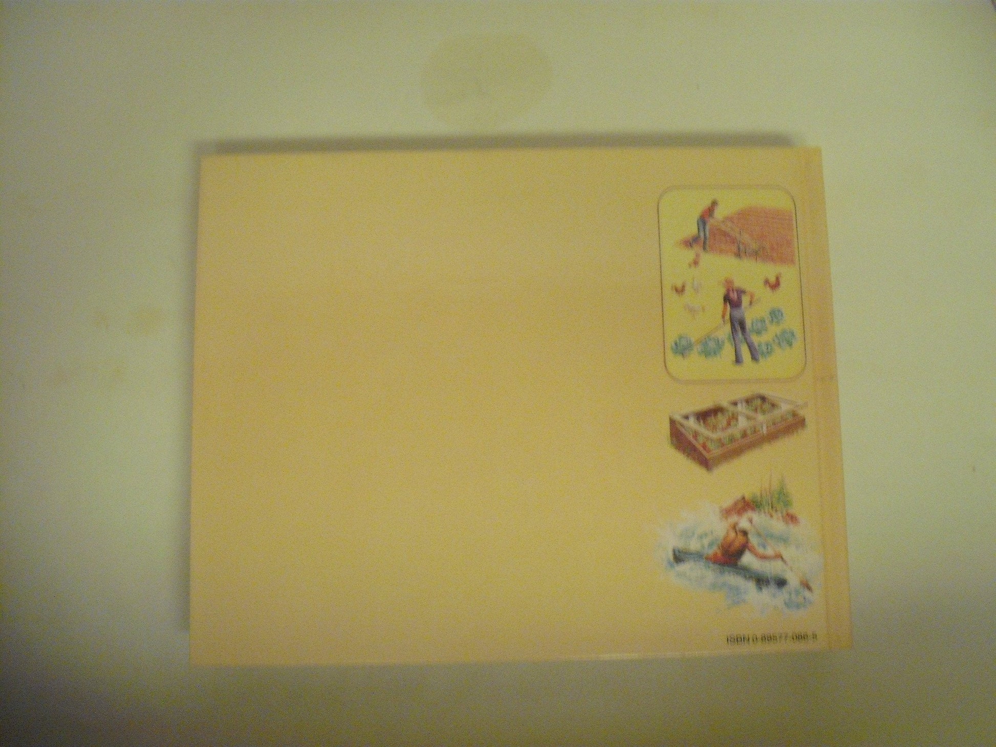 Back to Basics: How to Learn and Enjoy Traditional American Skills used book depot