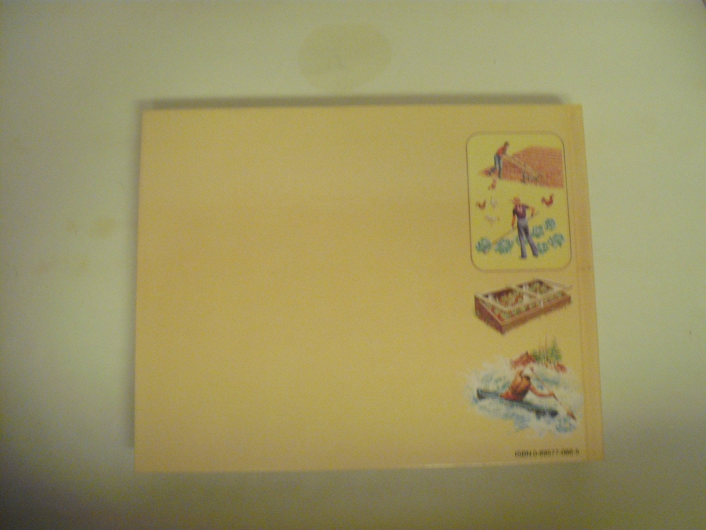 Back to Basics: How to Learn and Enjoy Traditional American Skills used book depot