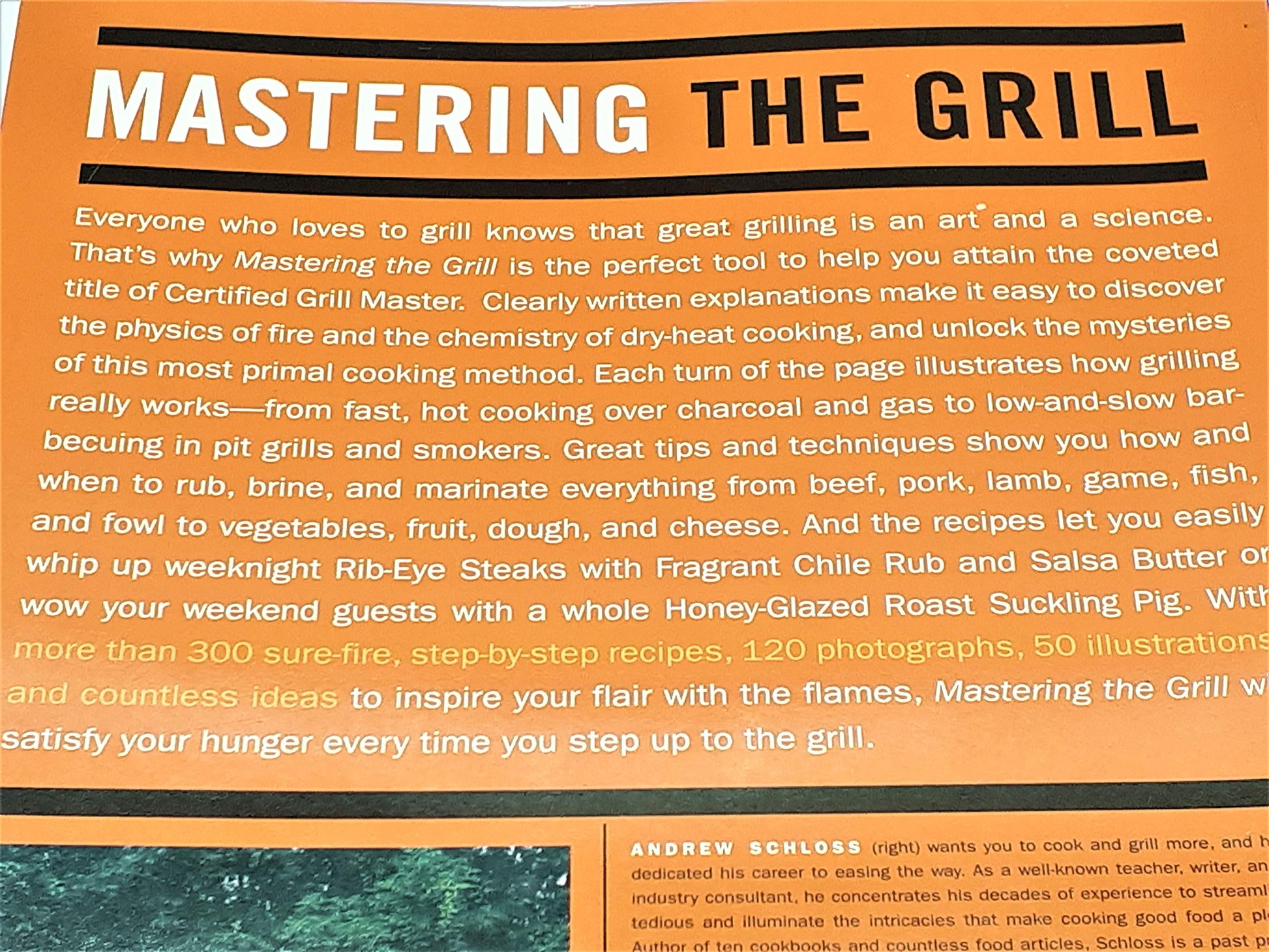 Mastering the Grill: The Owner's Manual for Outdoor Cooking used book depot