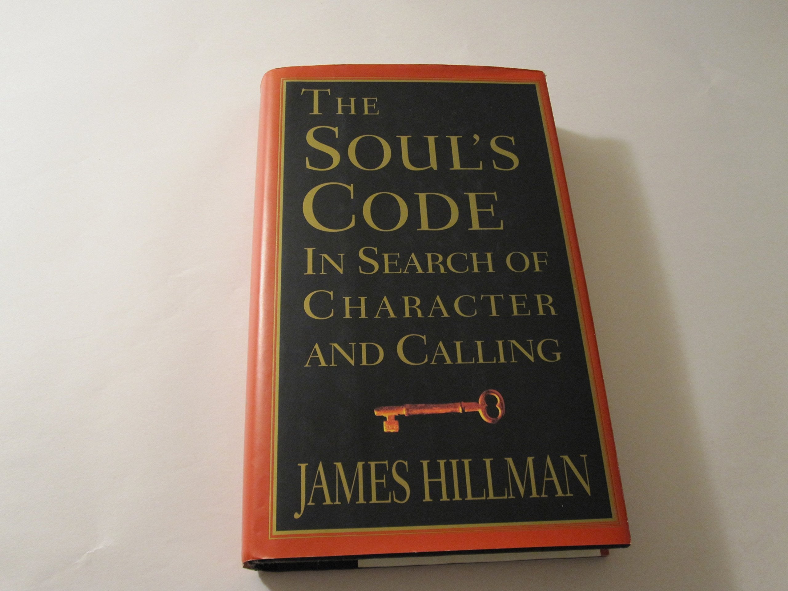 The Soul's Code: In Search of Character and Calling used book depot