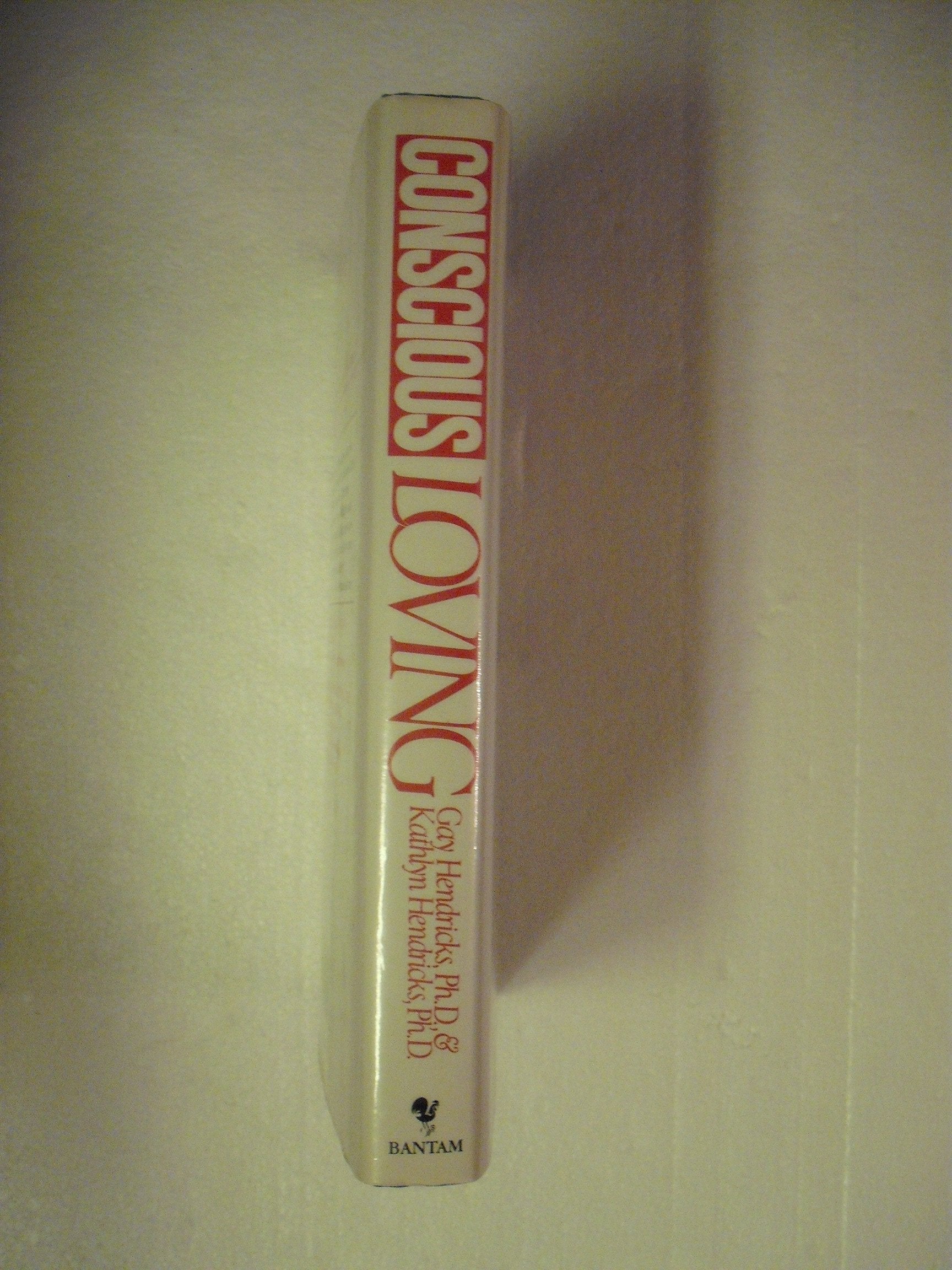 Conscious Loving: The Journey to Co-Commitment: A Way to Be Fully Together Without Giving Up Yourself used book depot