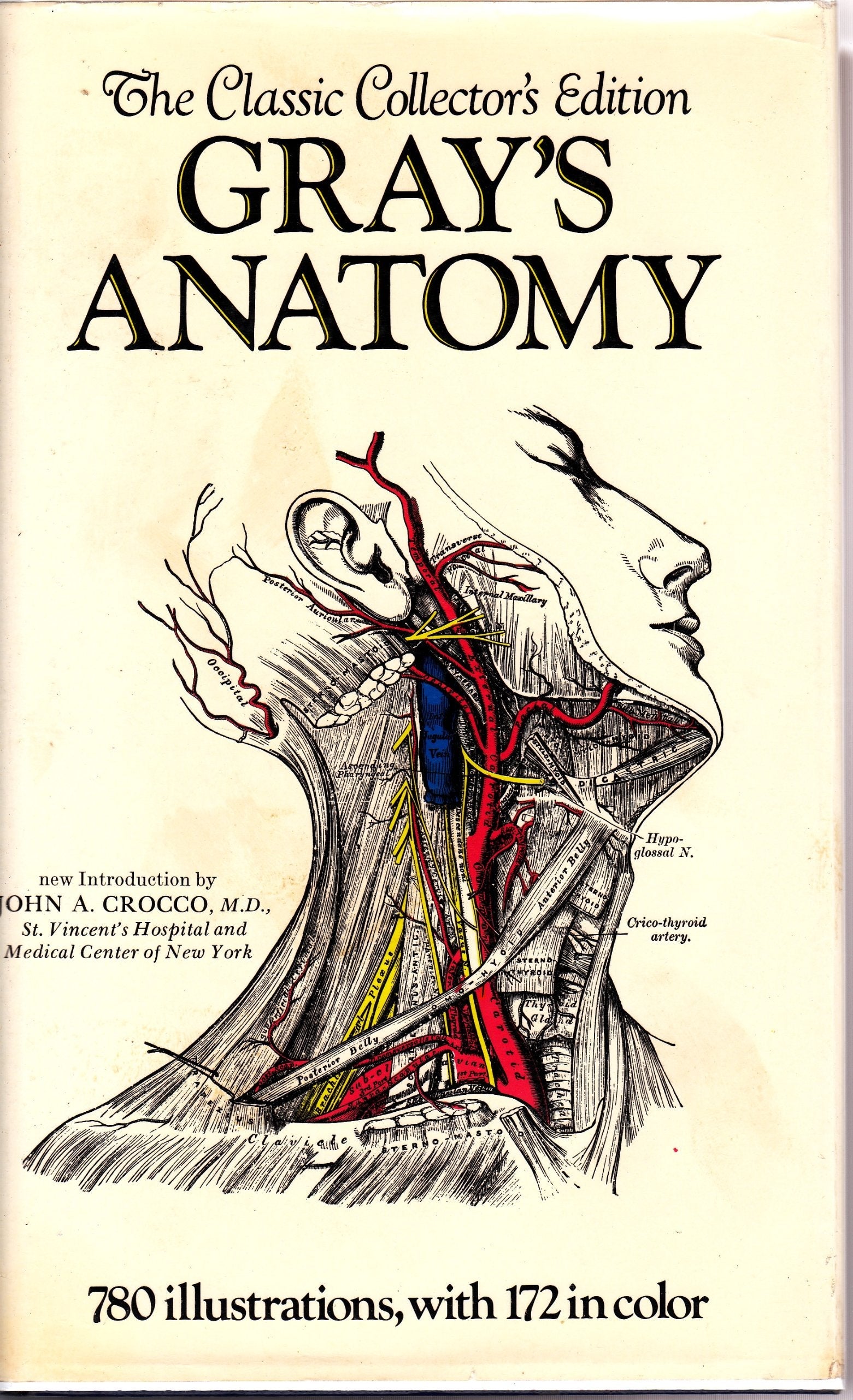 Gray's Anatomy: The Classic Collector's Edition used book depot