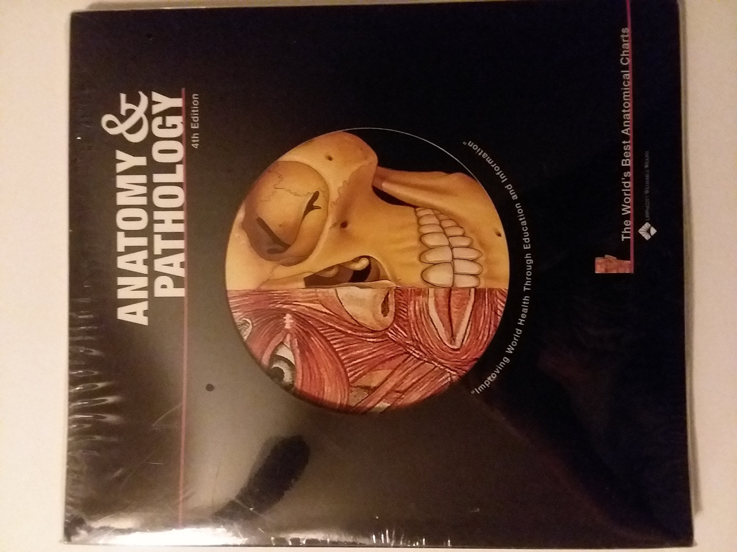 Anatomy And Pathology: The World's Best Anatomical Charts used book depot