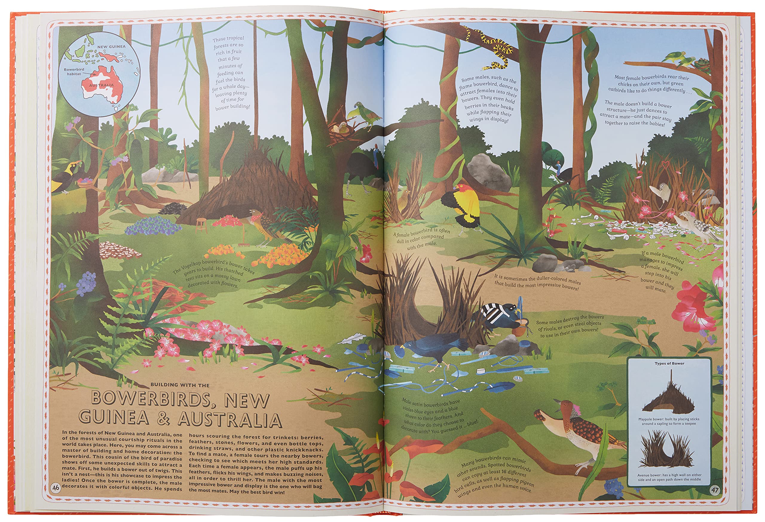 Atlas of Animal Adventures: A collection of nature's most unmissable events, epic migrations and extraordinary behaviours used book depot