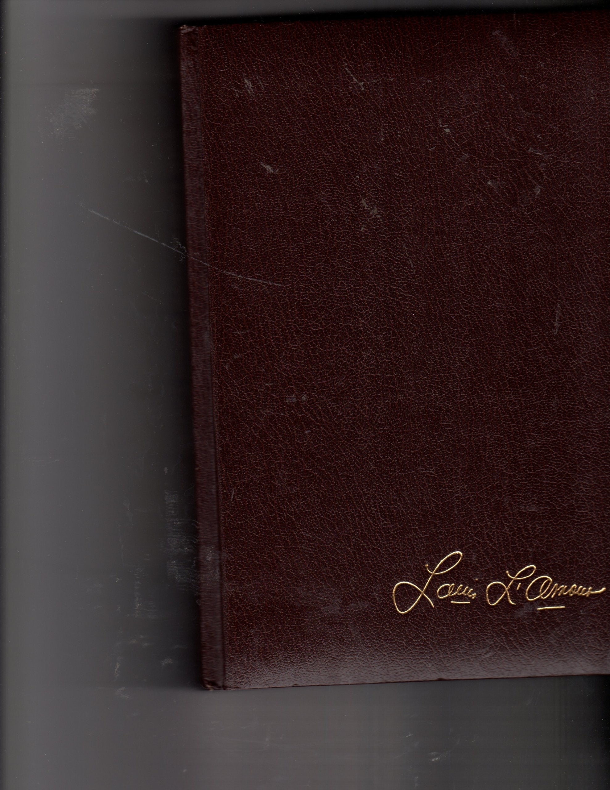 The Lonesome Gods (The Louis L'Amour Collection) used book depot