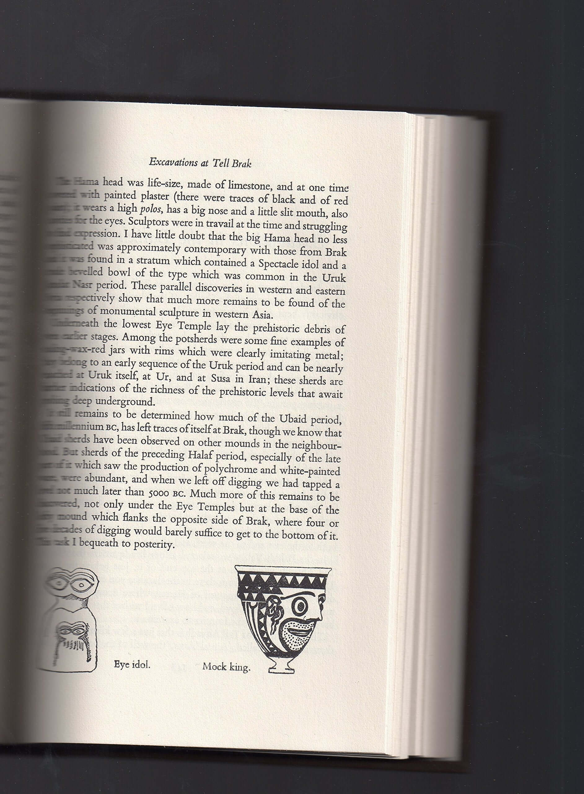 Mallowan's Memoirs used book depot