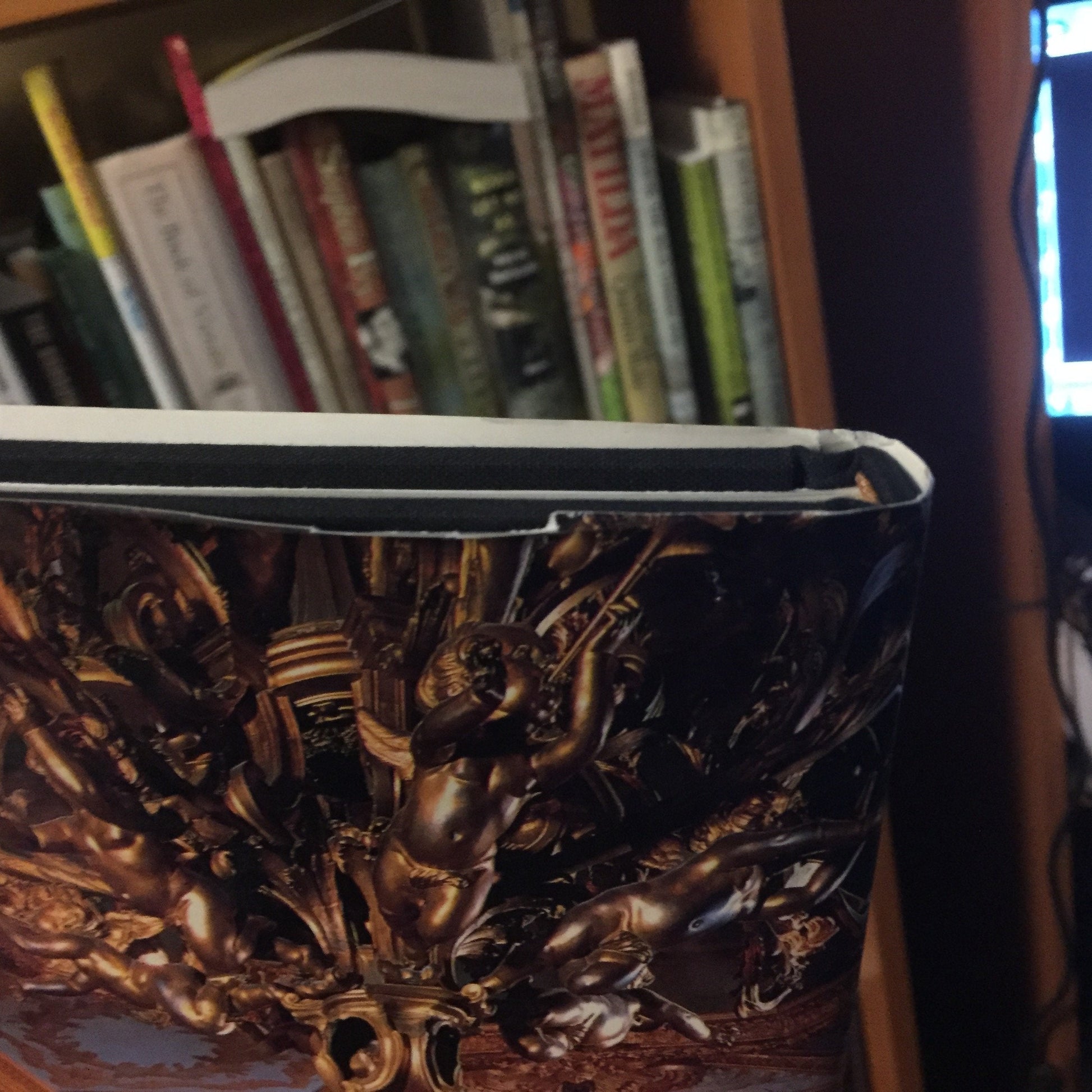 Newport Mansions: The Gilded Age used book depot