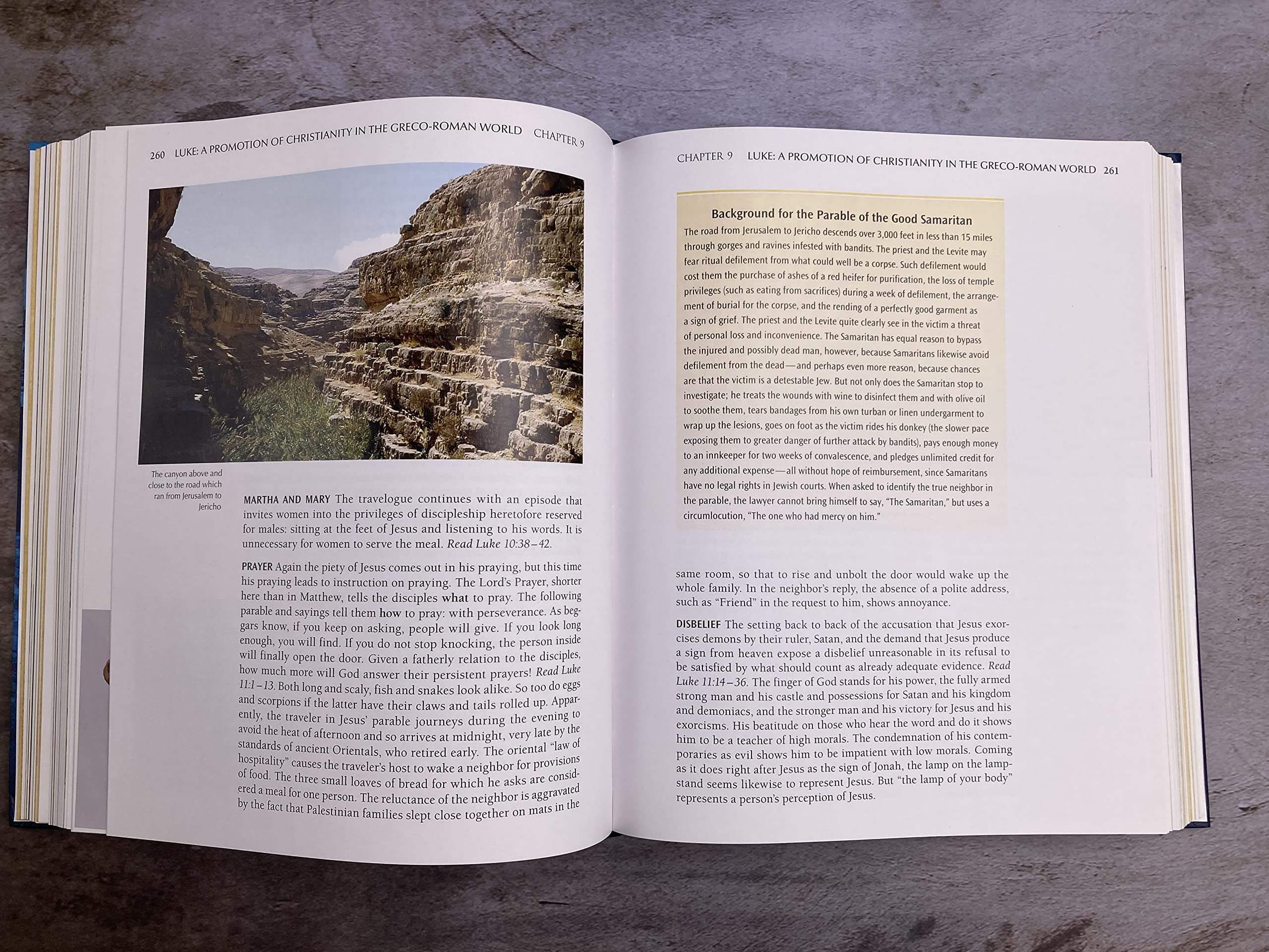 A Survey of the New Testament: 5th Edition used book depot