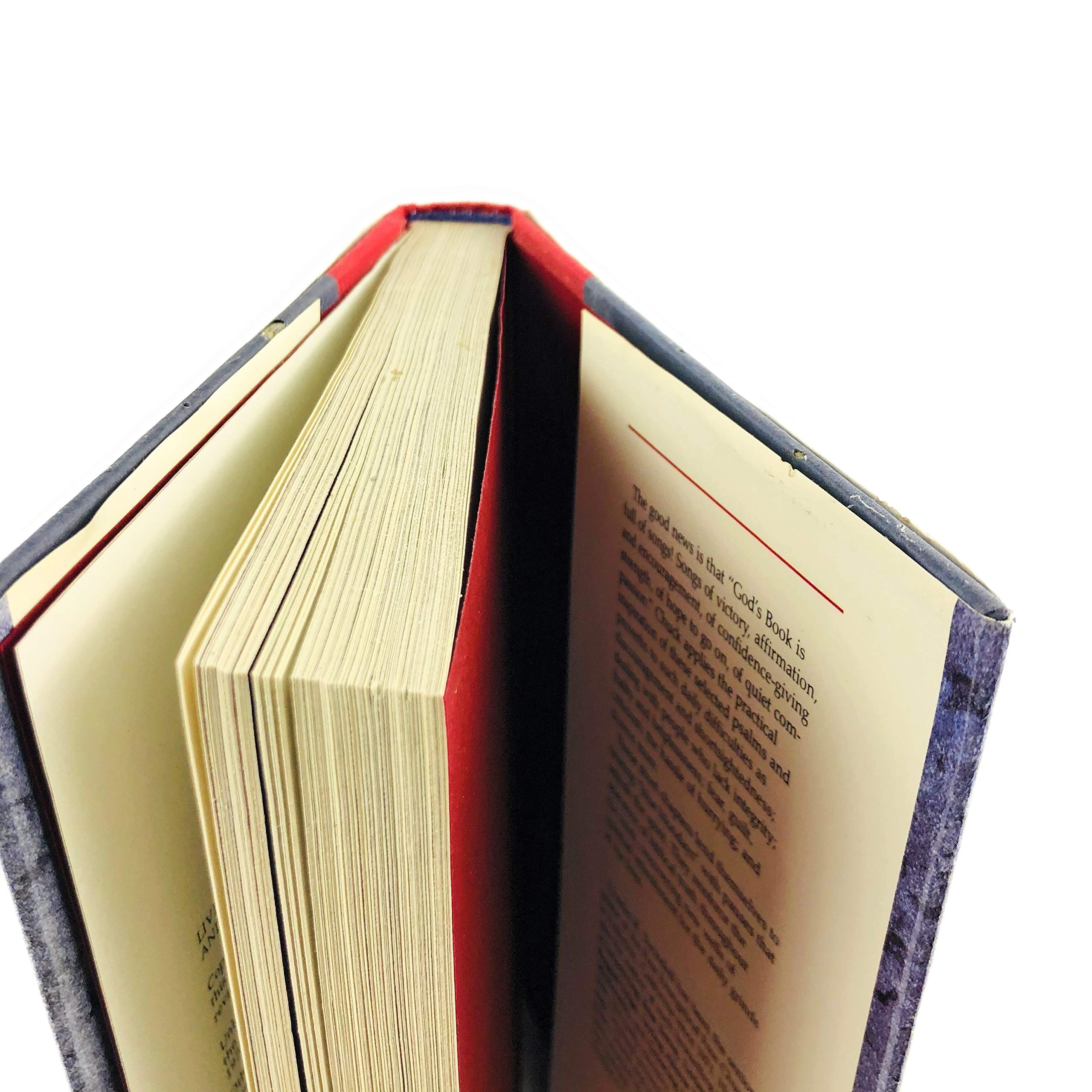 Living Beyond the Daily Grind: Reflections on the Songs and Sayings in Scripture (Book I) used book depot