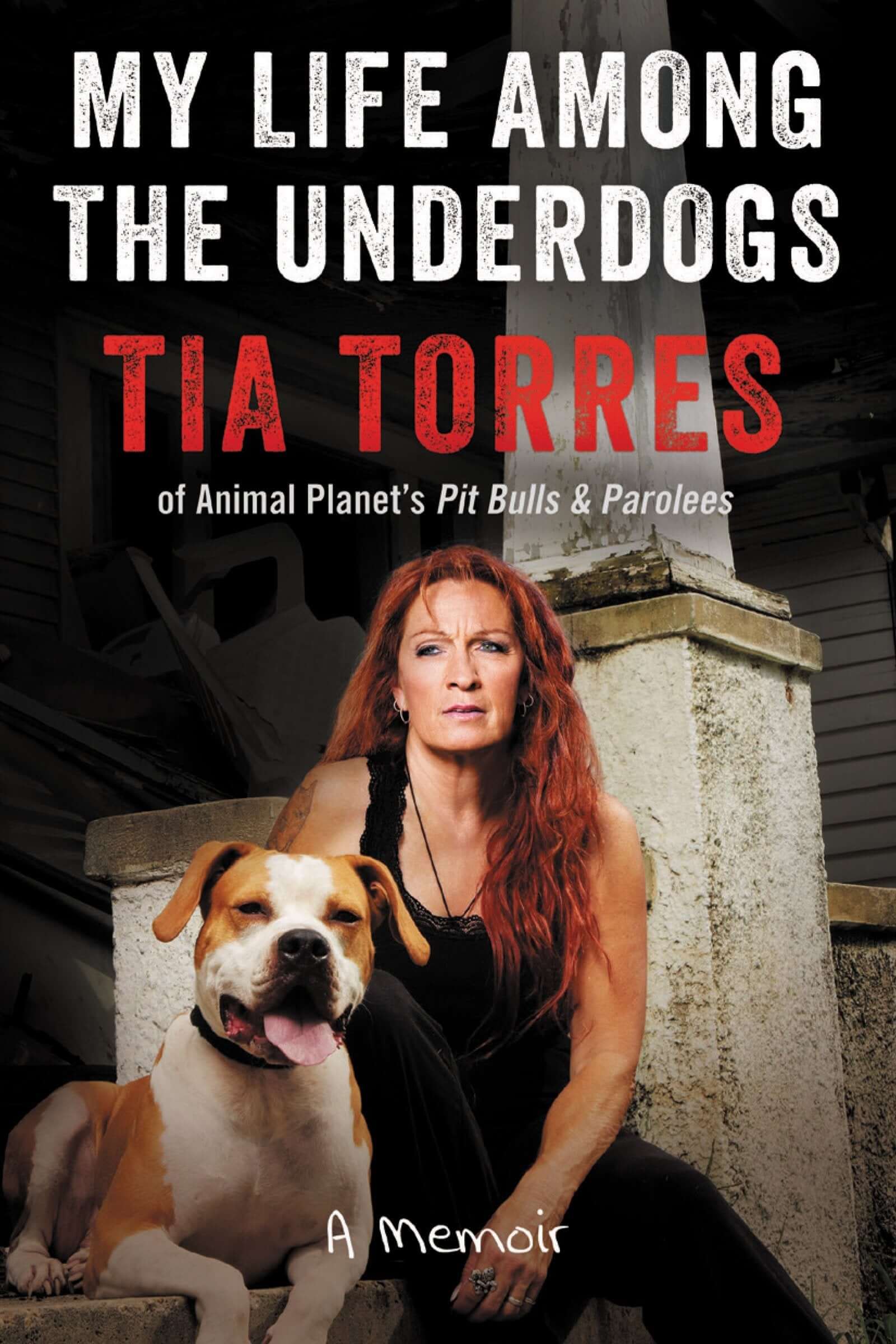My Life Among the Underdogs: A Memoir used book depot
