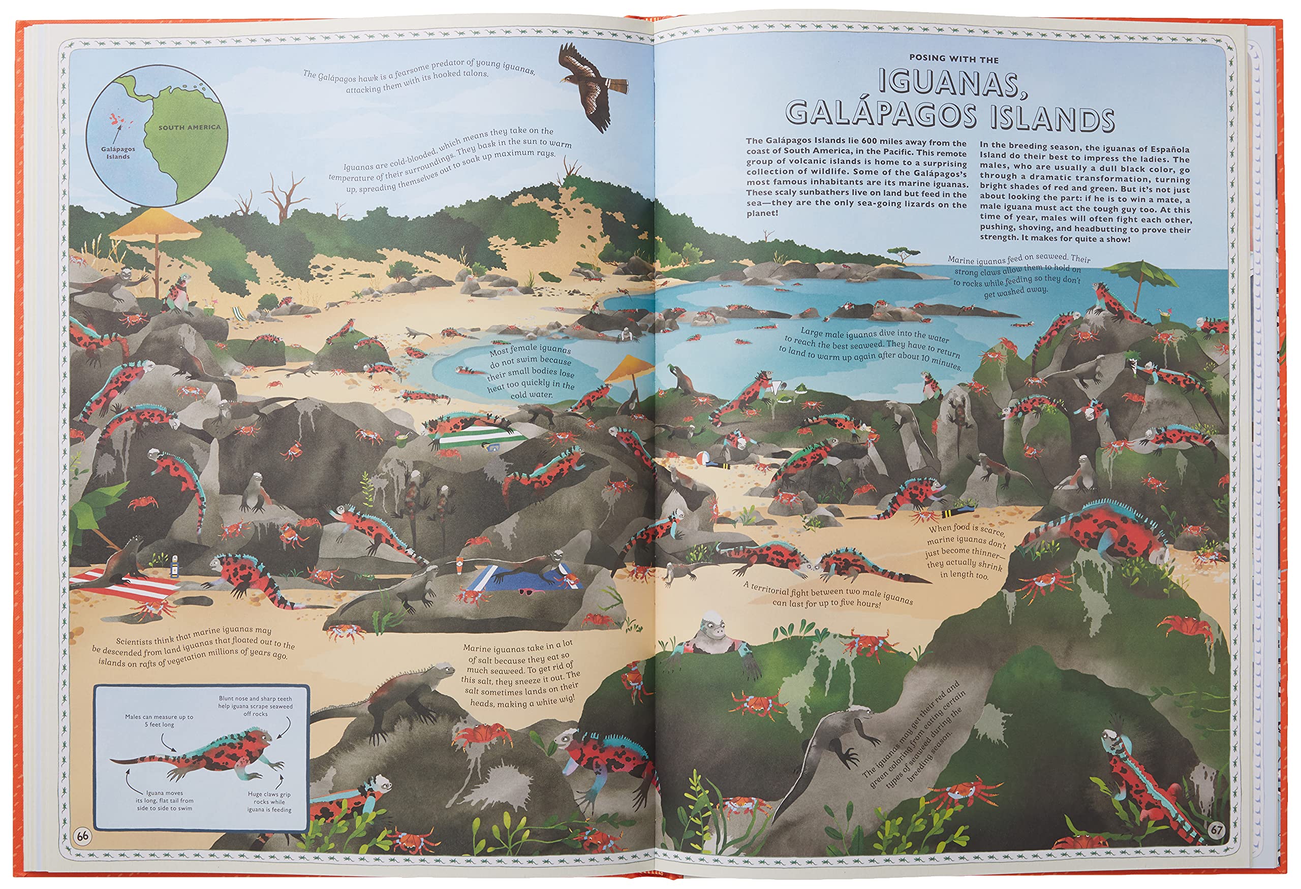 Atlas of Animal Adventures: A collection of nature's most unmissable events, epic migrations and extraordinary behaviours used book depot