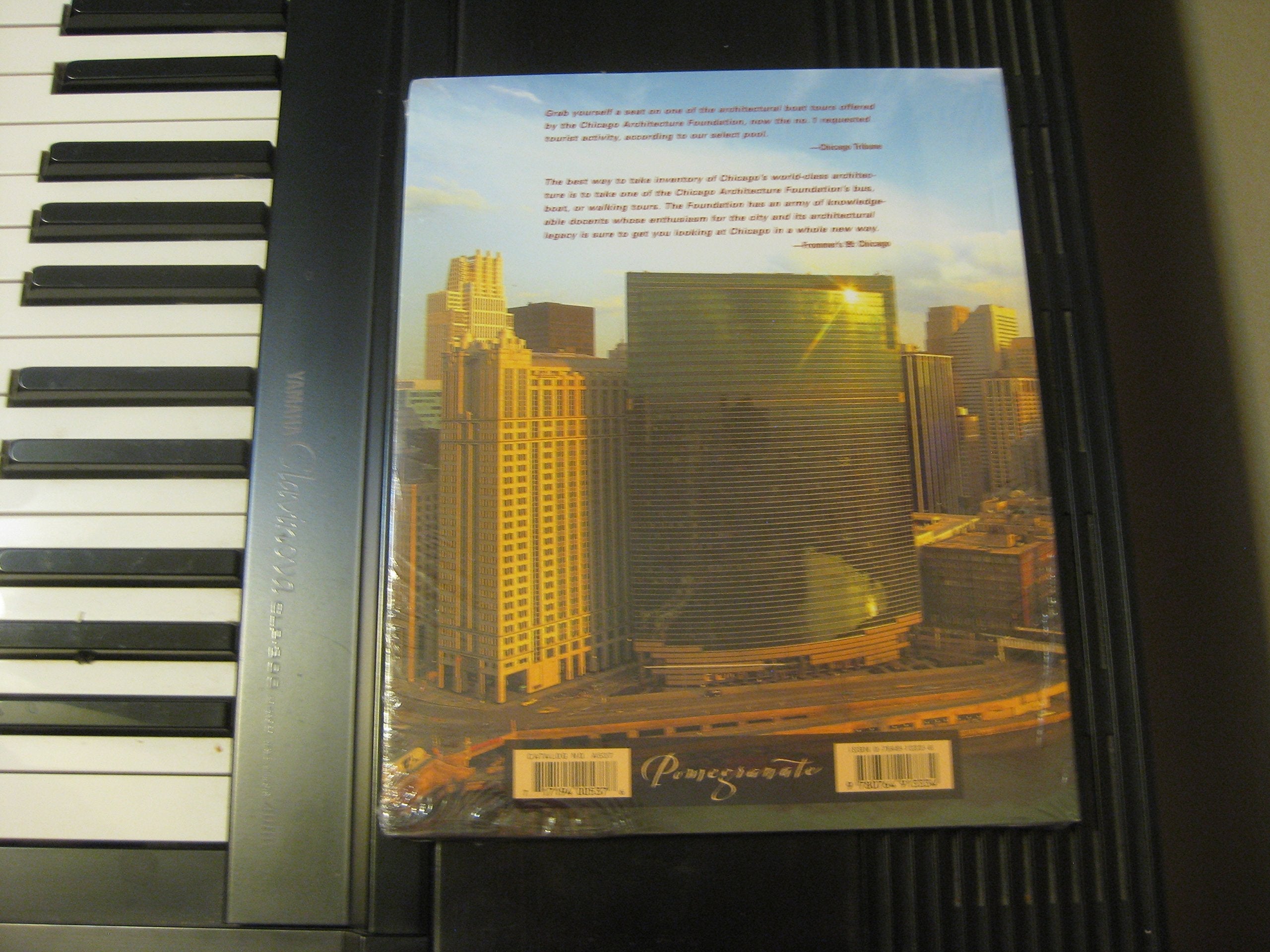 A View from the River: The Chicago Architecture Foundation River Cruise used book depot