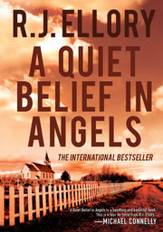A Quiet Belief in Angels: A Novel used book depot