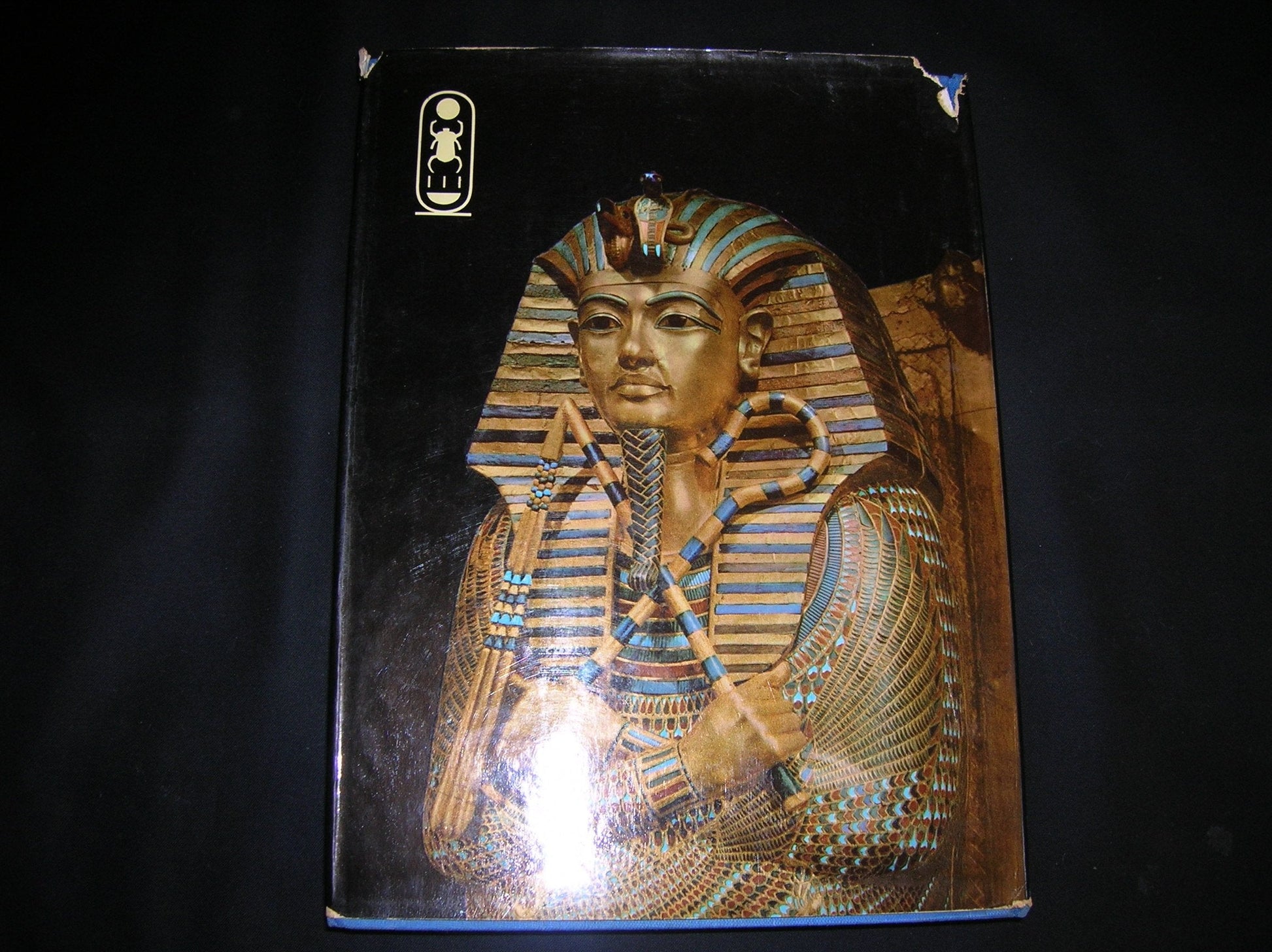 Tutankhamen: Life and Death of a Pharaoh used book depot
