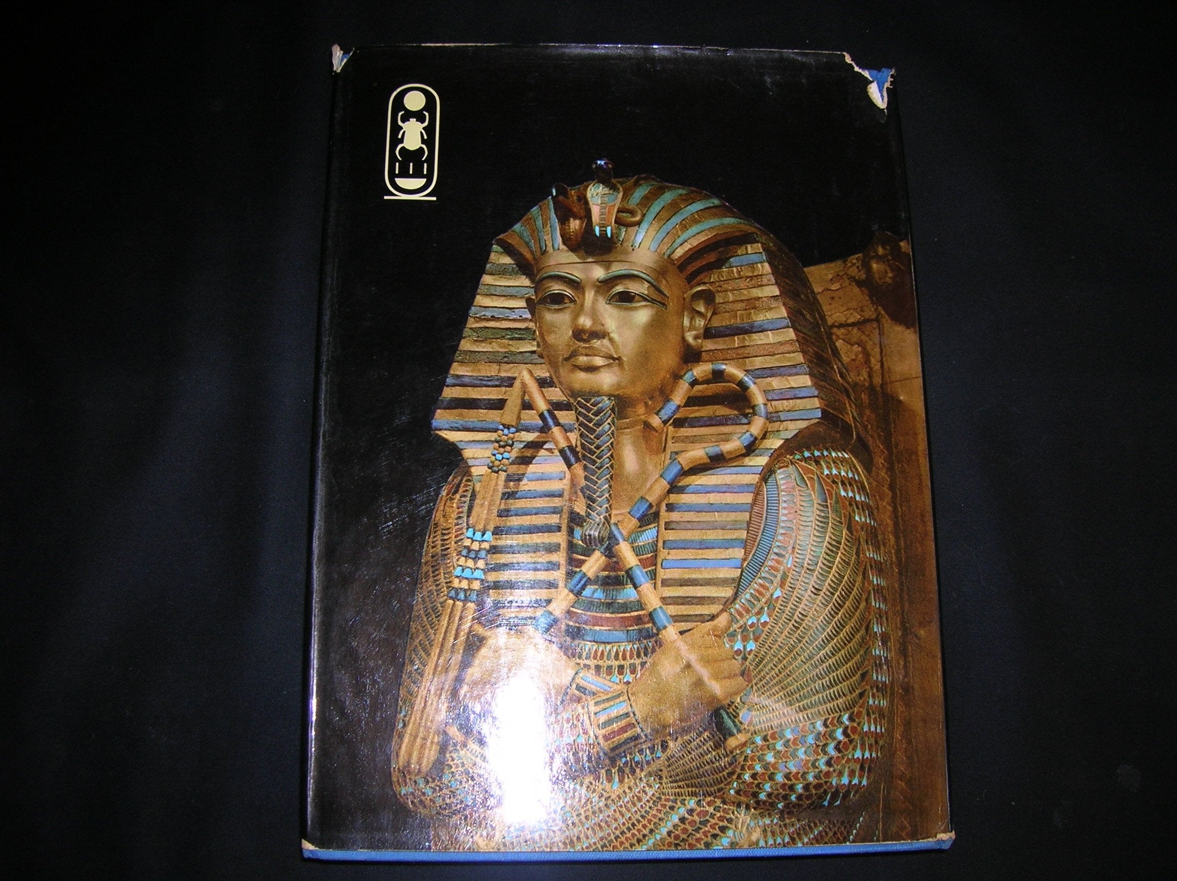 Tutankhamen: Life and Death of a Pharaoh used book depot