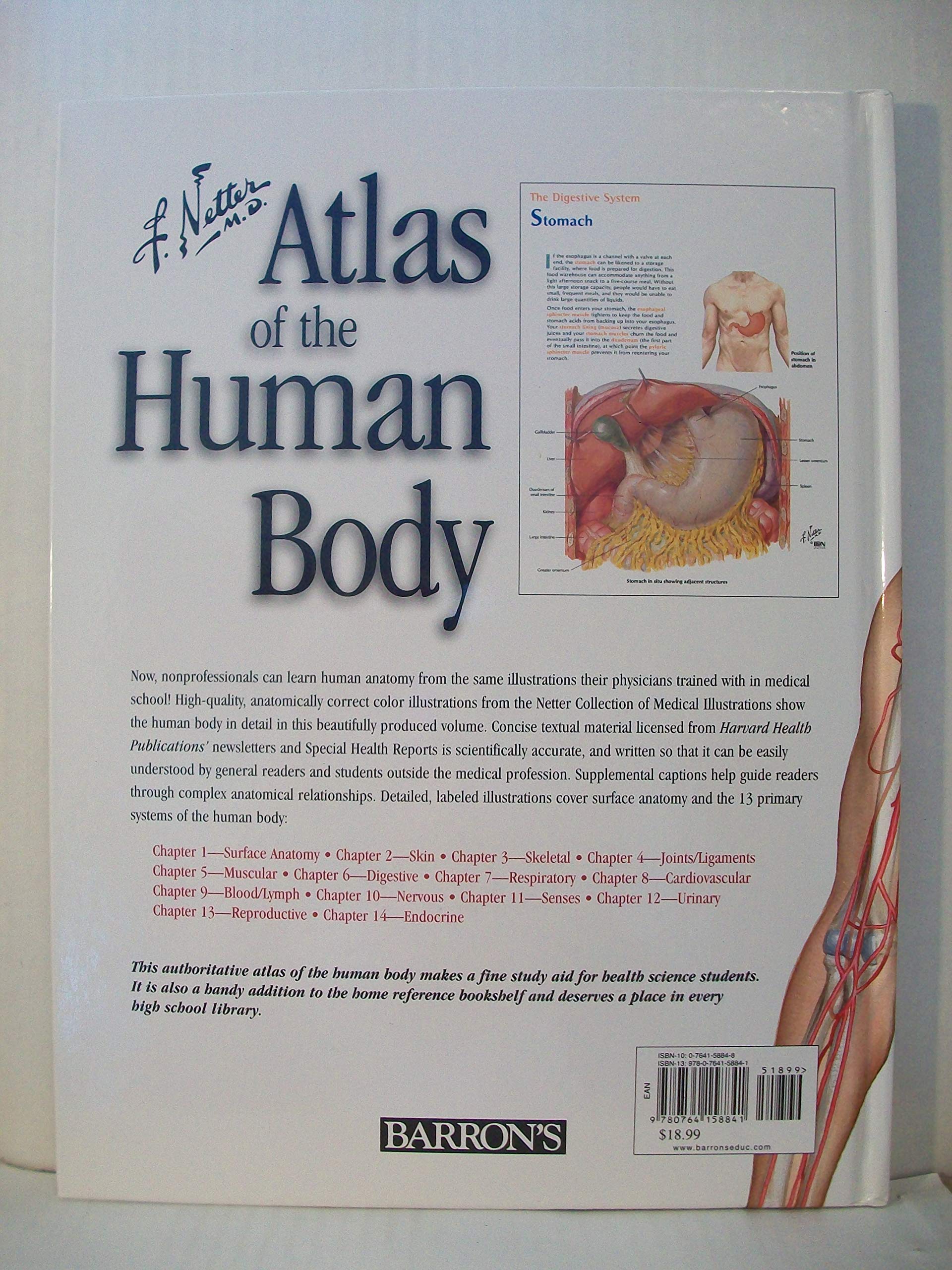 Netter's Atlas of the Human Body used book depot