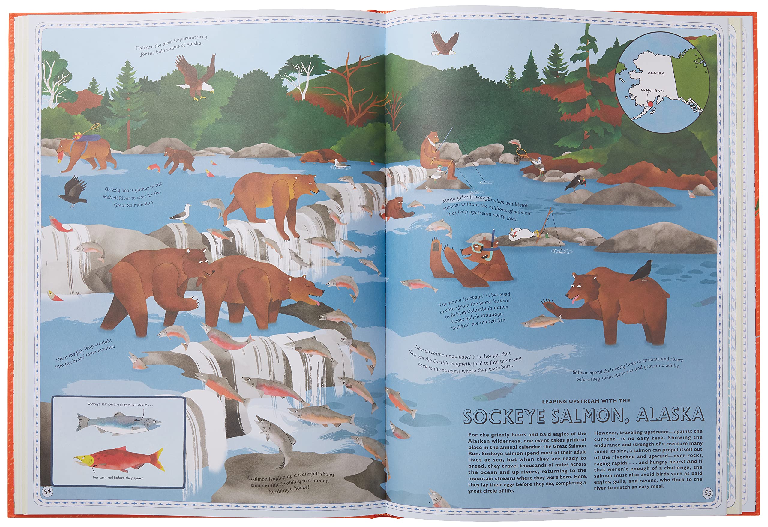 Atlas of Animal Adventures: A collection of nature's most unmissable events, epic migrations and extraordinary behaviours used book depot