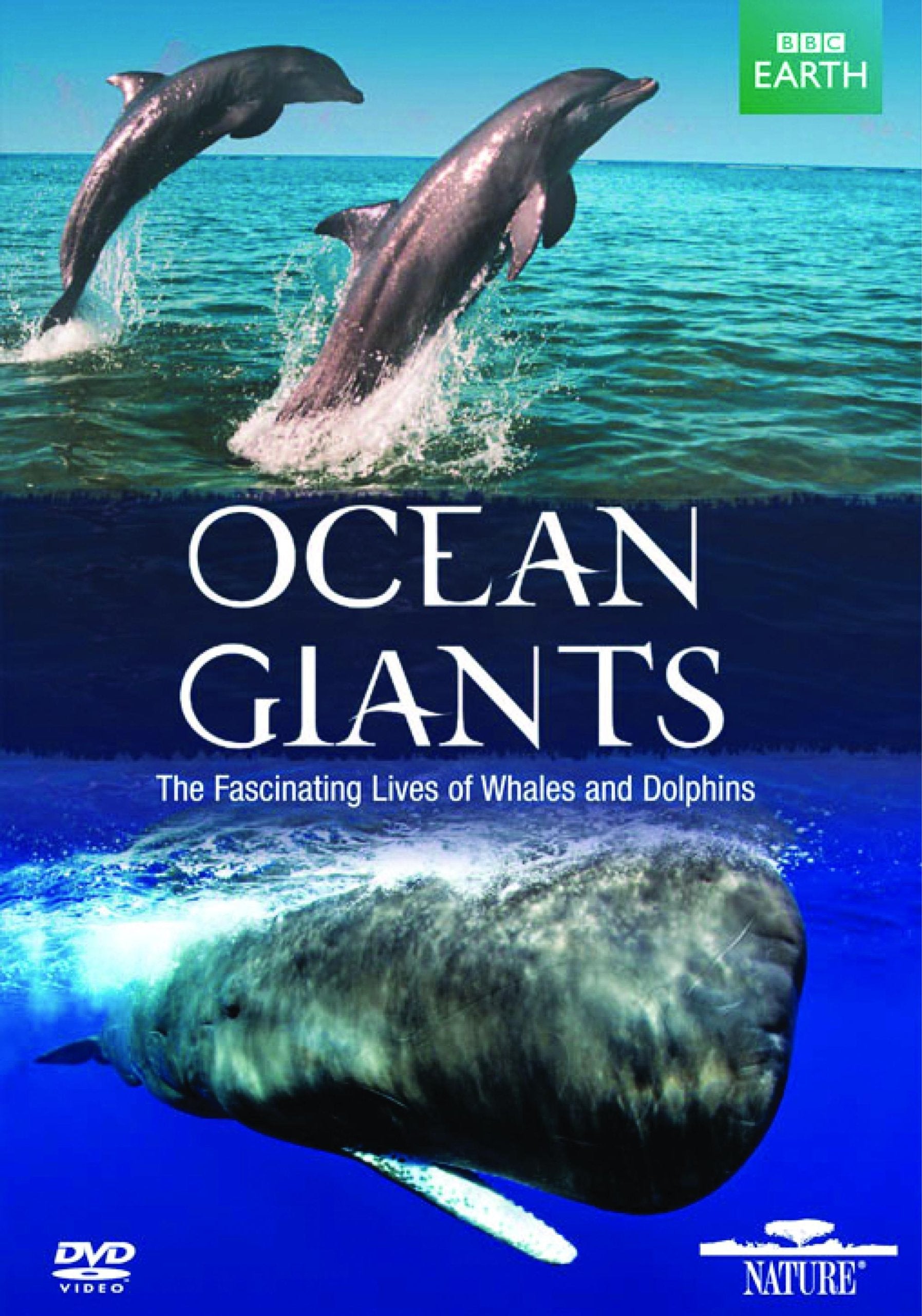 Ocean Giants used book depot
