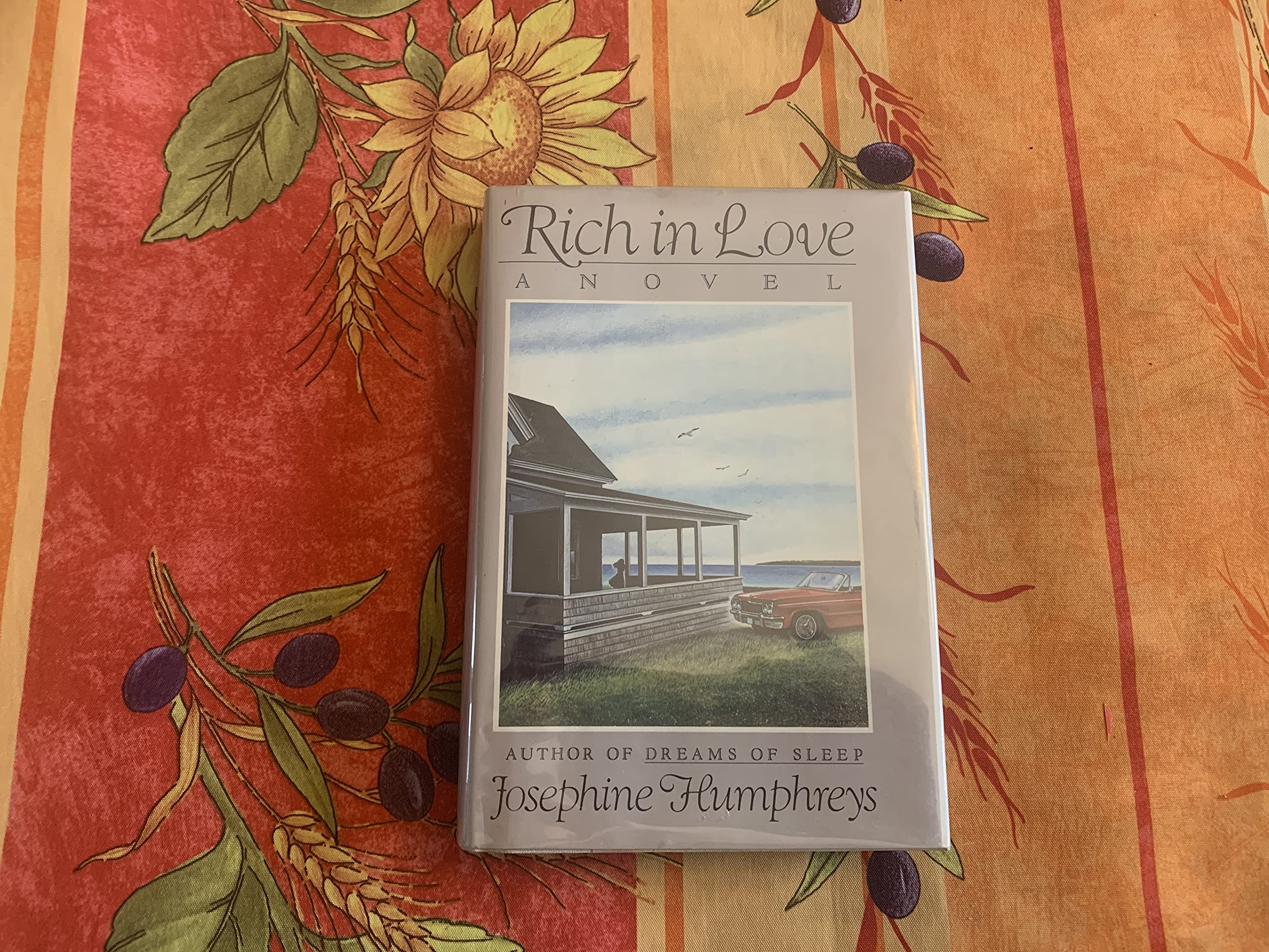 Rich in Love used book depot