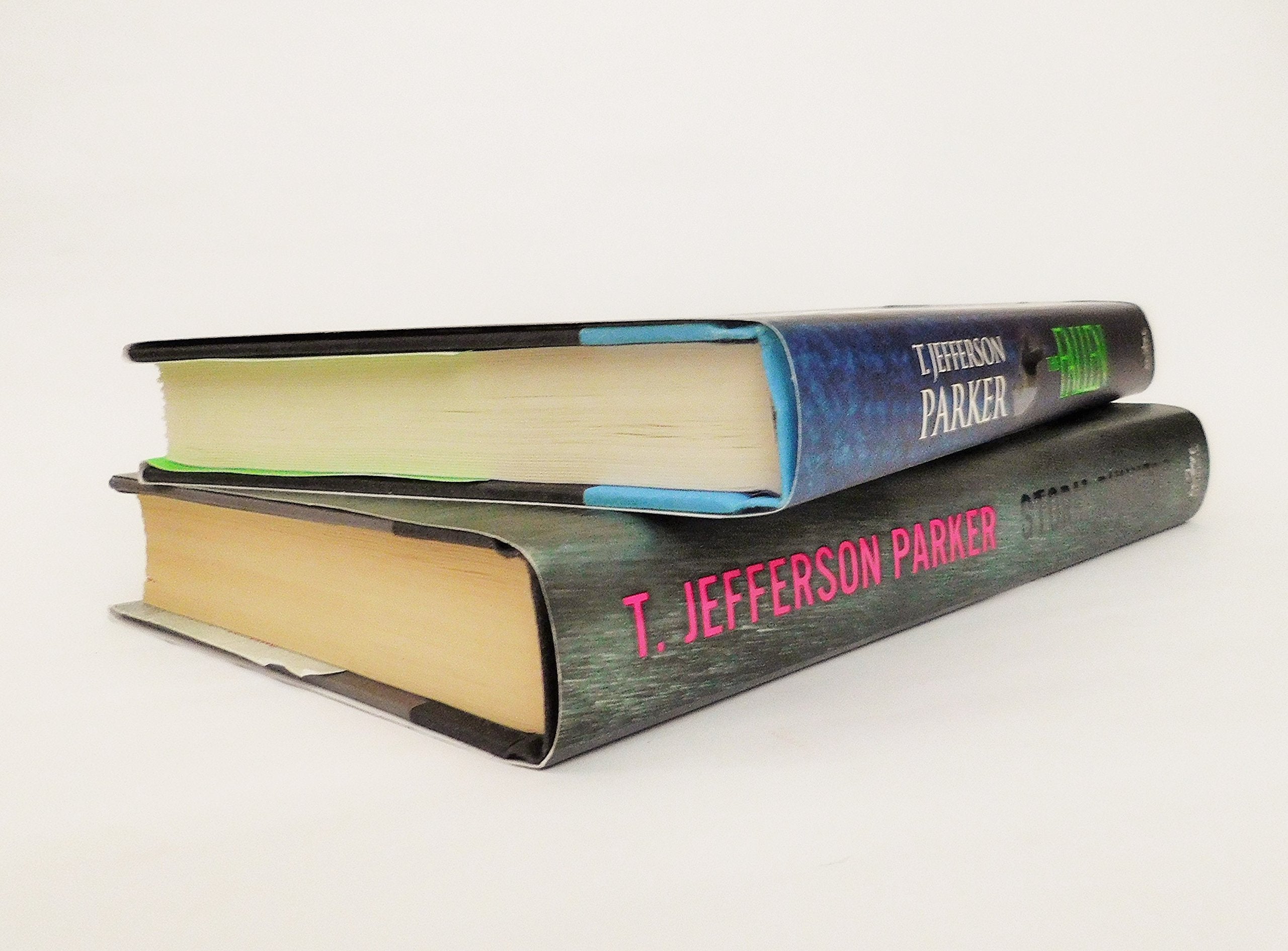 Storm Runners: A Novel used book depot