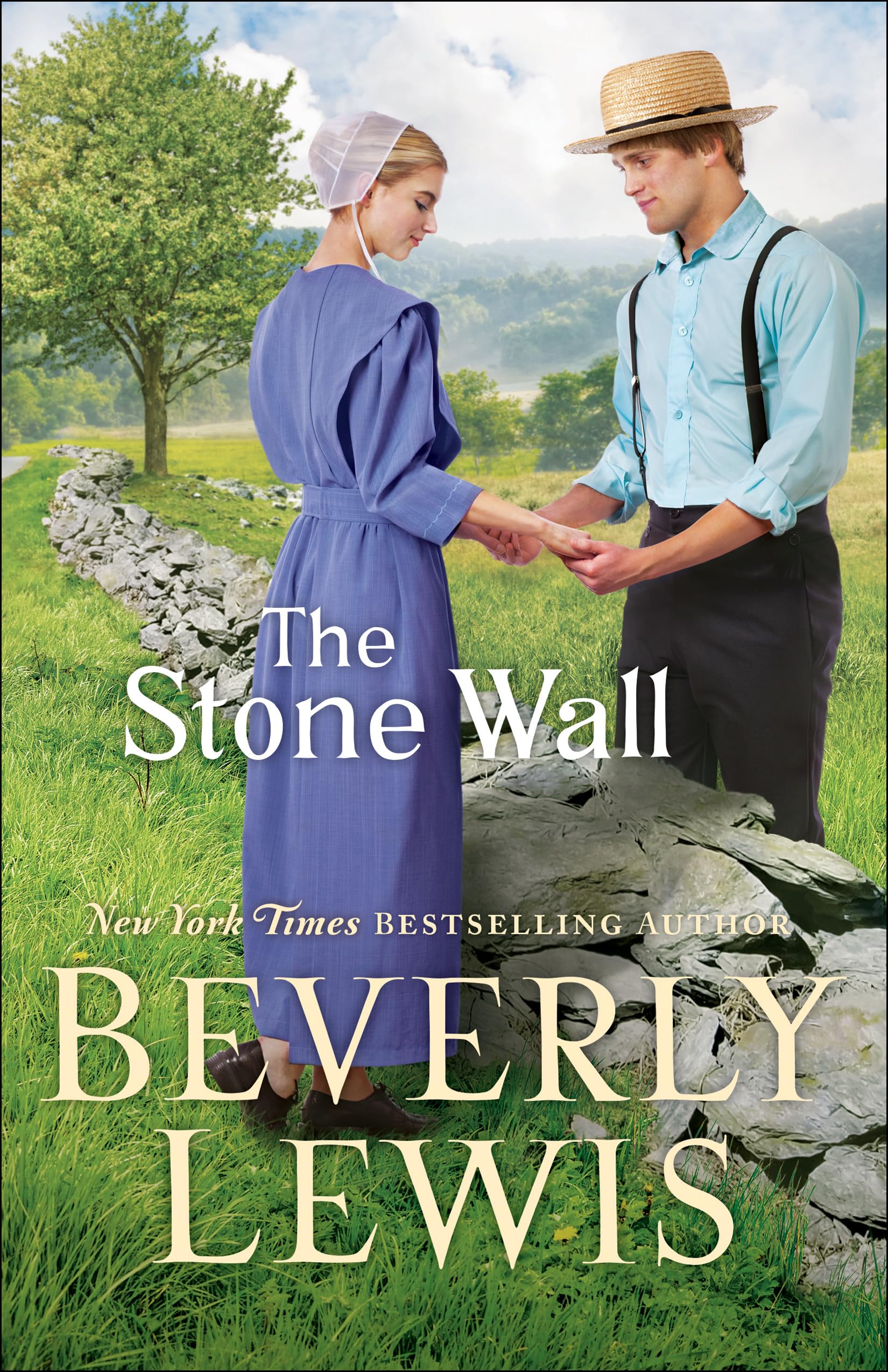 The Stone Wall: (An Amish Christian Fiction Love Triangle Romance) used book depot