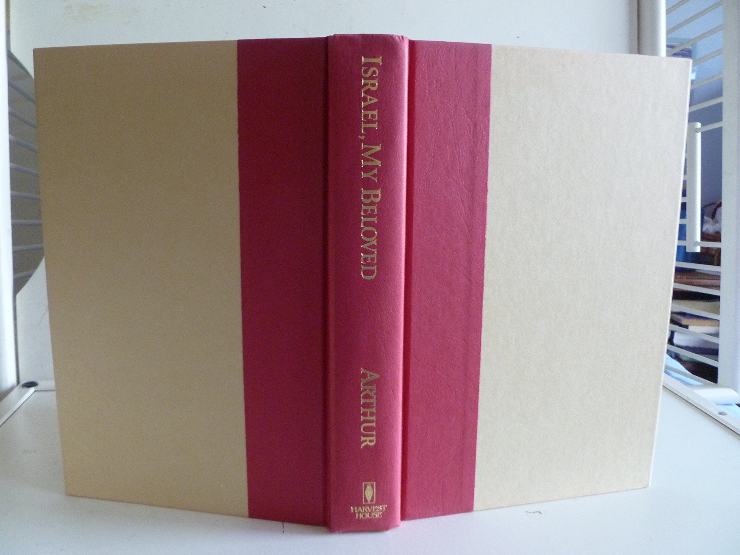 Israel, My Beloved: A Novel used book depot