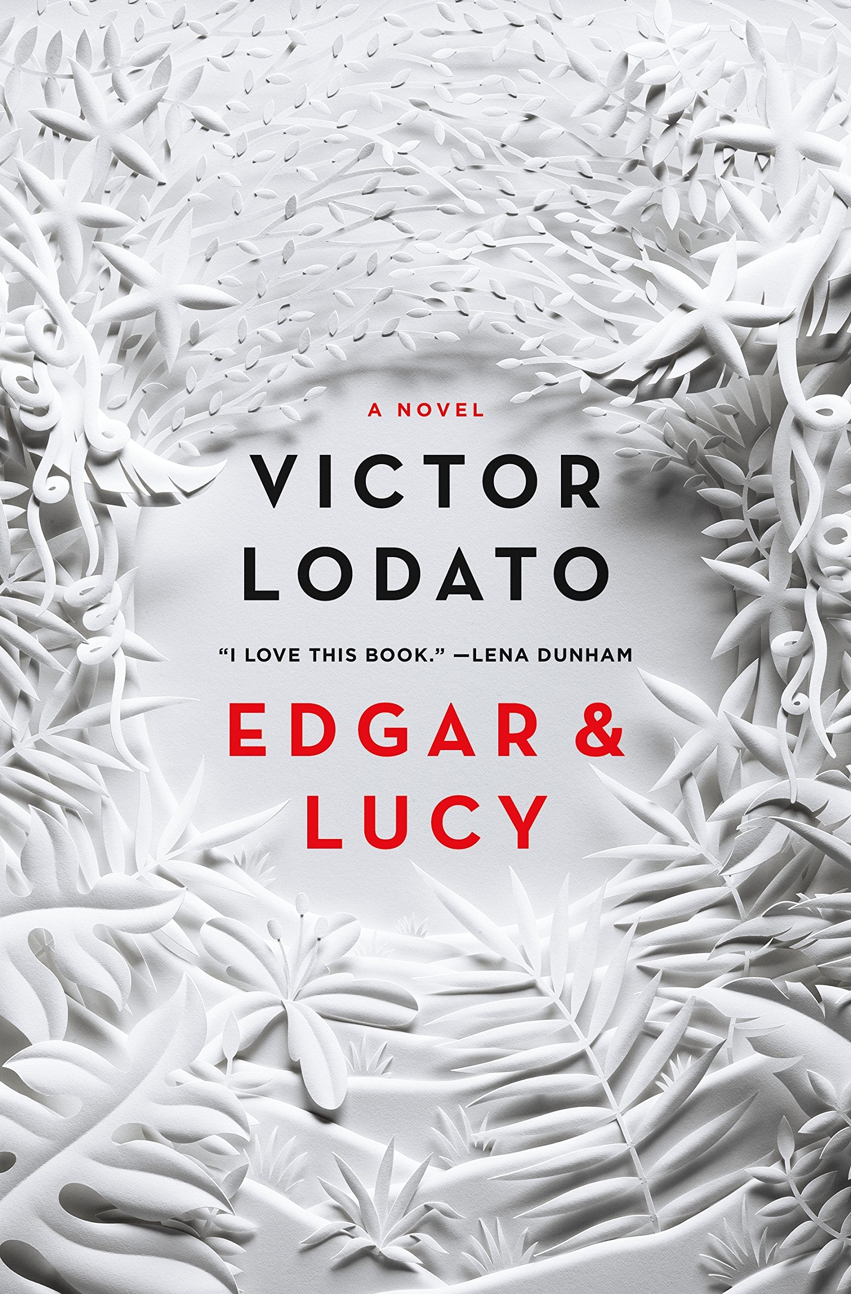 Edgar and Lucy: A Novel used book depot