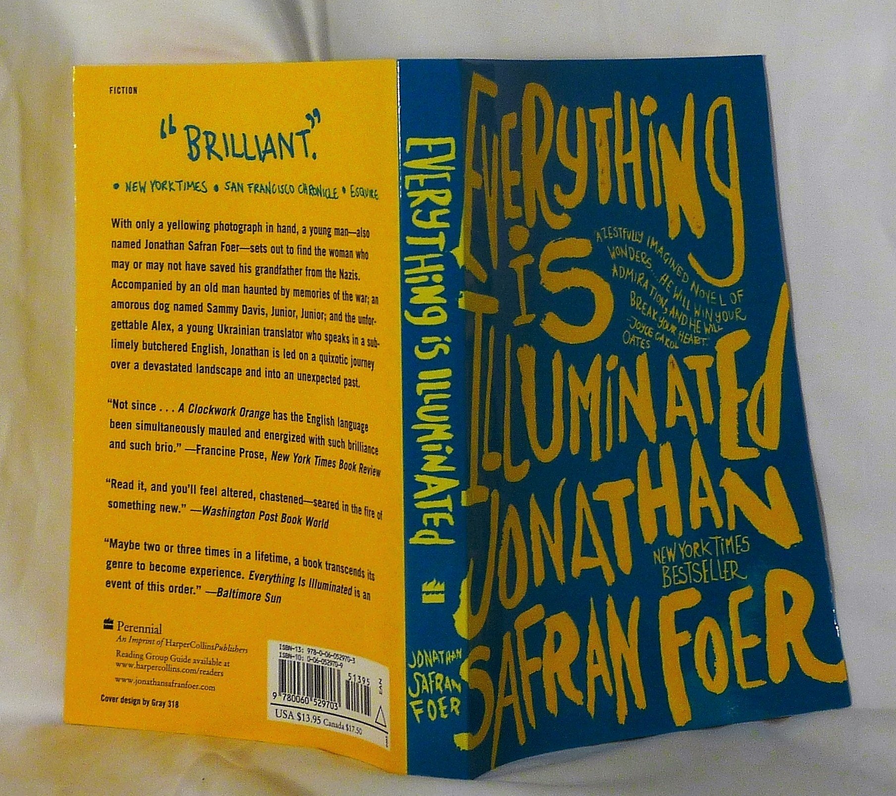 Everything Is Illuminated: A Novel used book depot