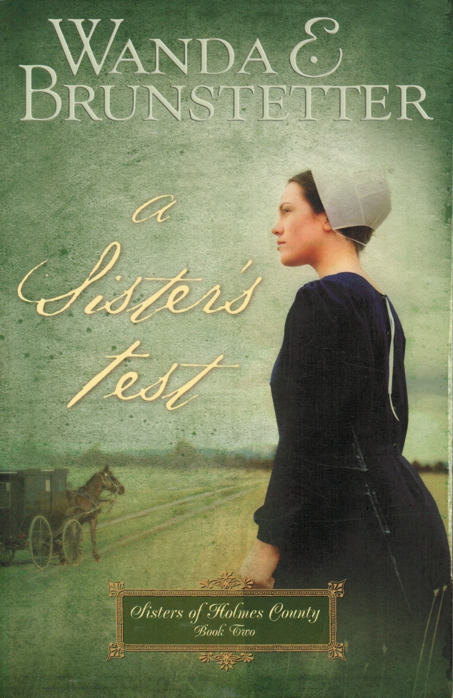 A Sister's Test (Sisters of Holmes County, Book 2) used book depot