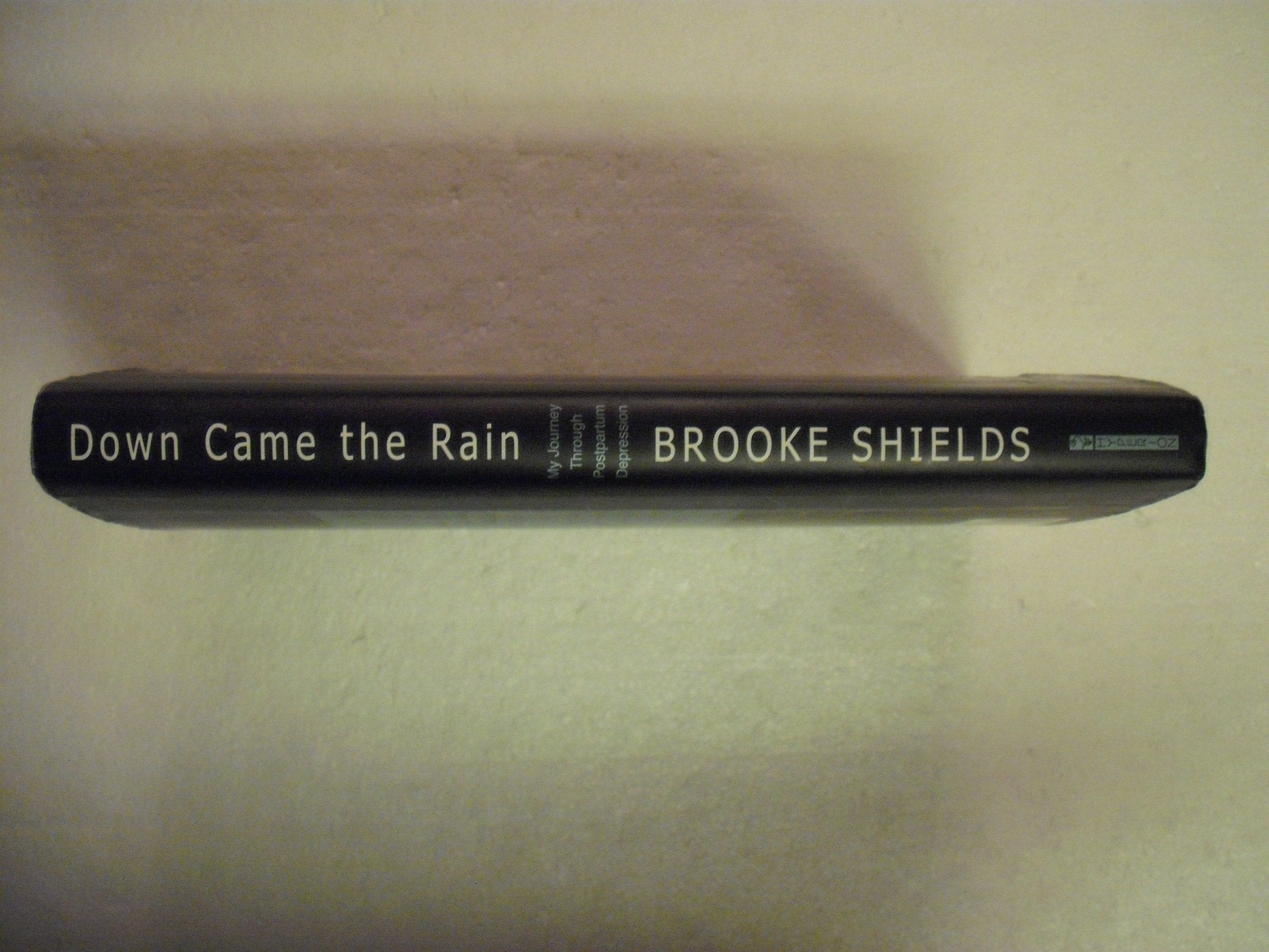 Down Came the Rain: My Journey Through Postpartum Depression used book depot