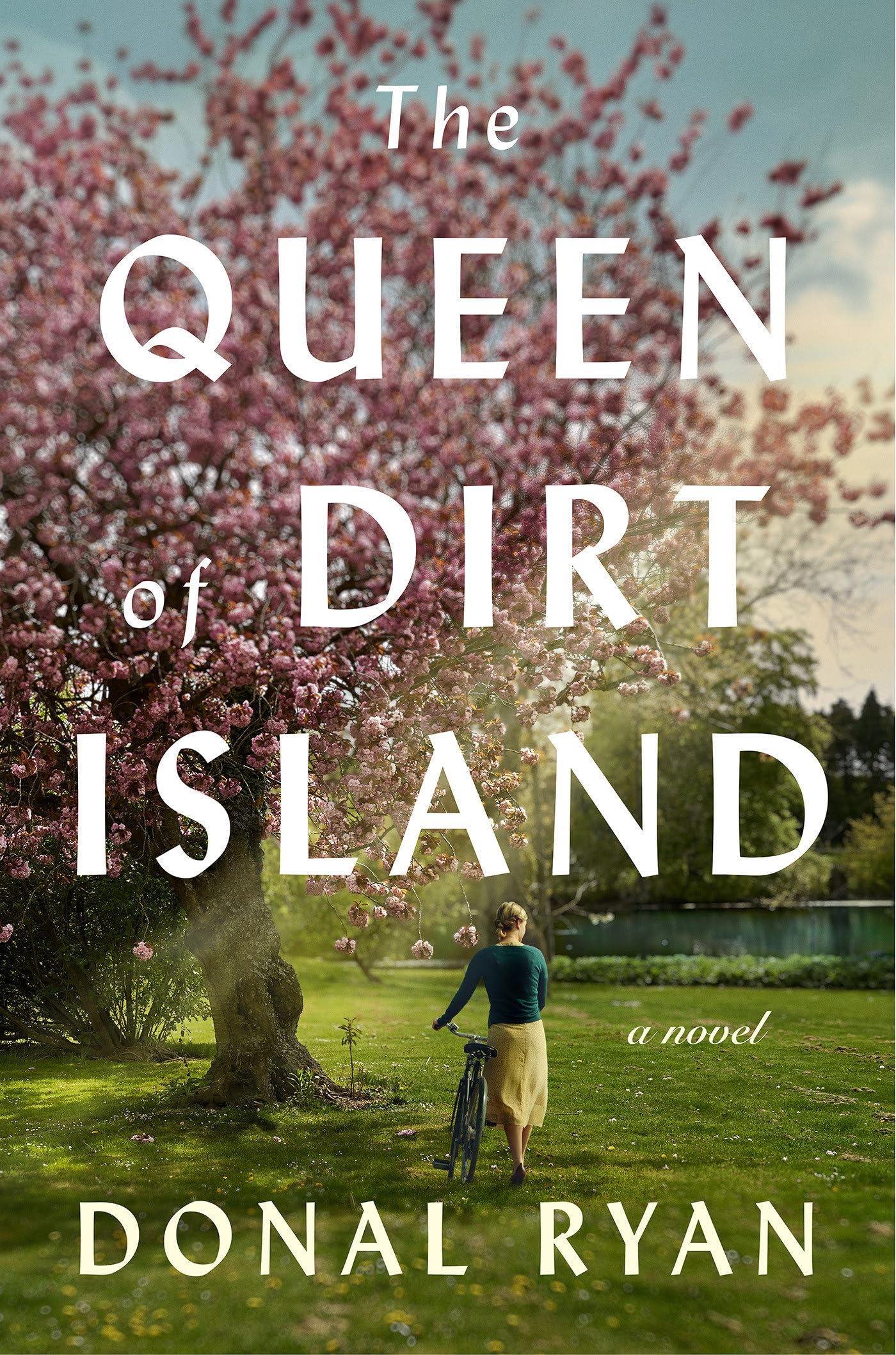 The Queen of Dirt Island: A Novel used book depot