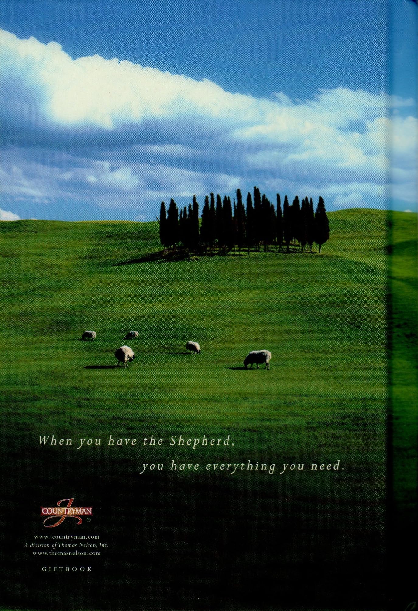 Safe in the Shepherd's Arms used book depot